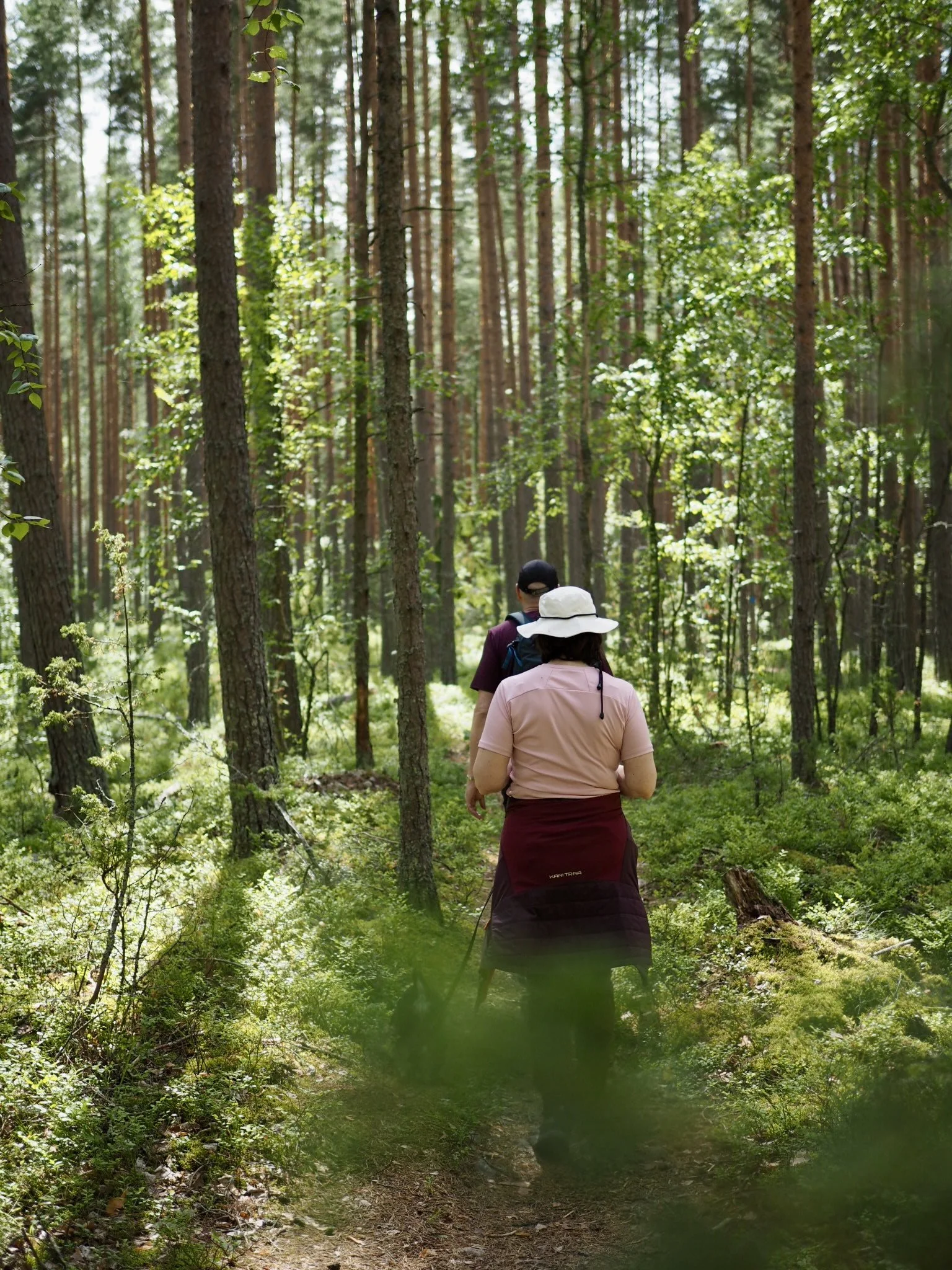 Kaksi ihmistä kävelee metsässä, korkeat puut ympärillä. Henkilö edessä kantaa reppua ja kävelee polulla vehreässä ympäristössä.