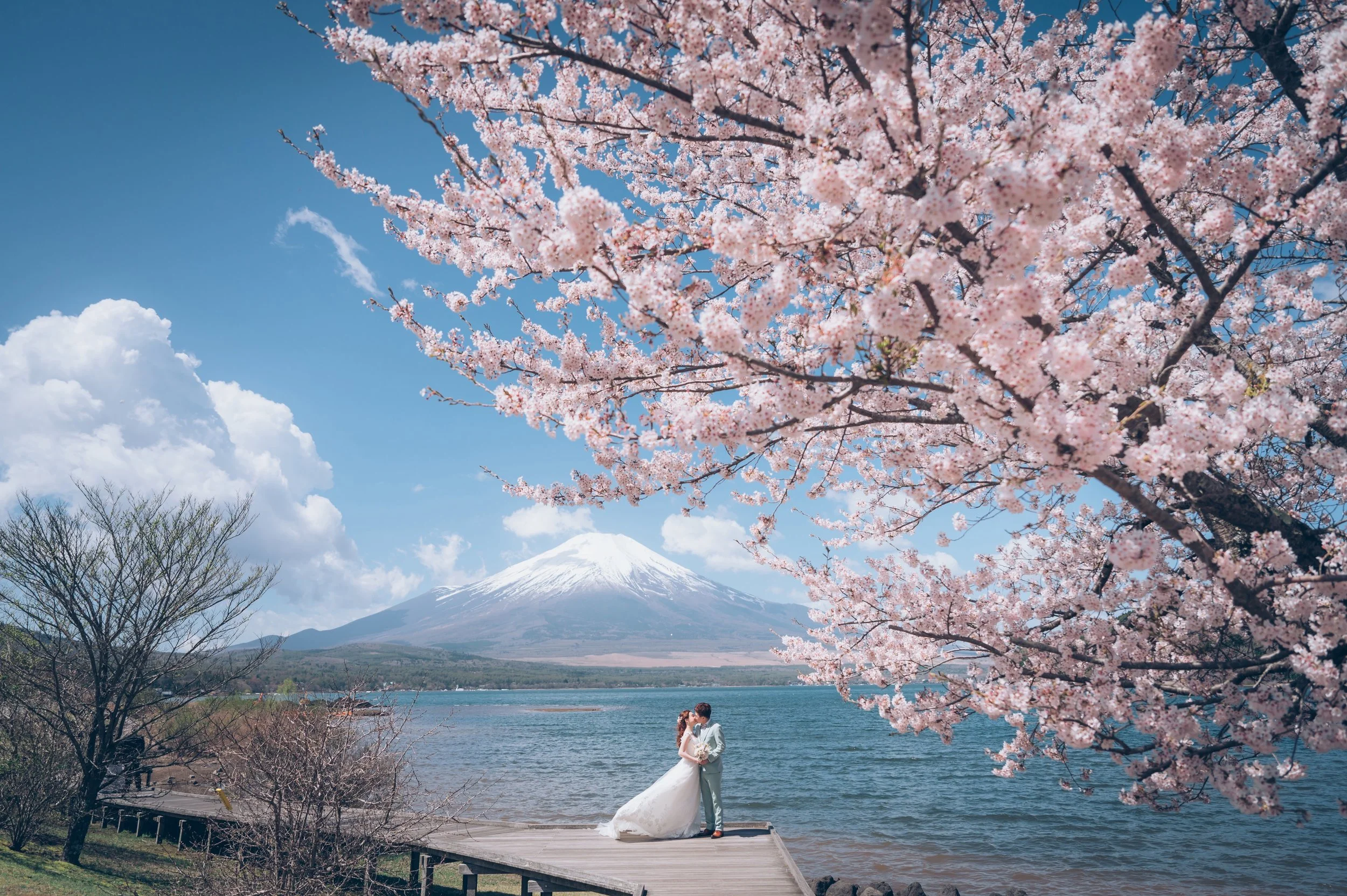 Vestido Bridal 傑出榮譽大獎 Honor Of Distinction - Wedding Photography