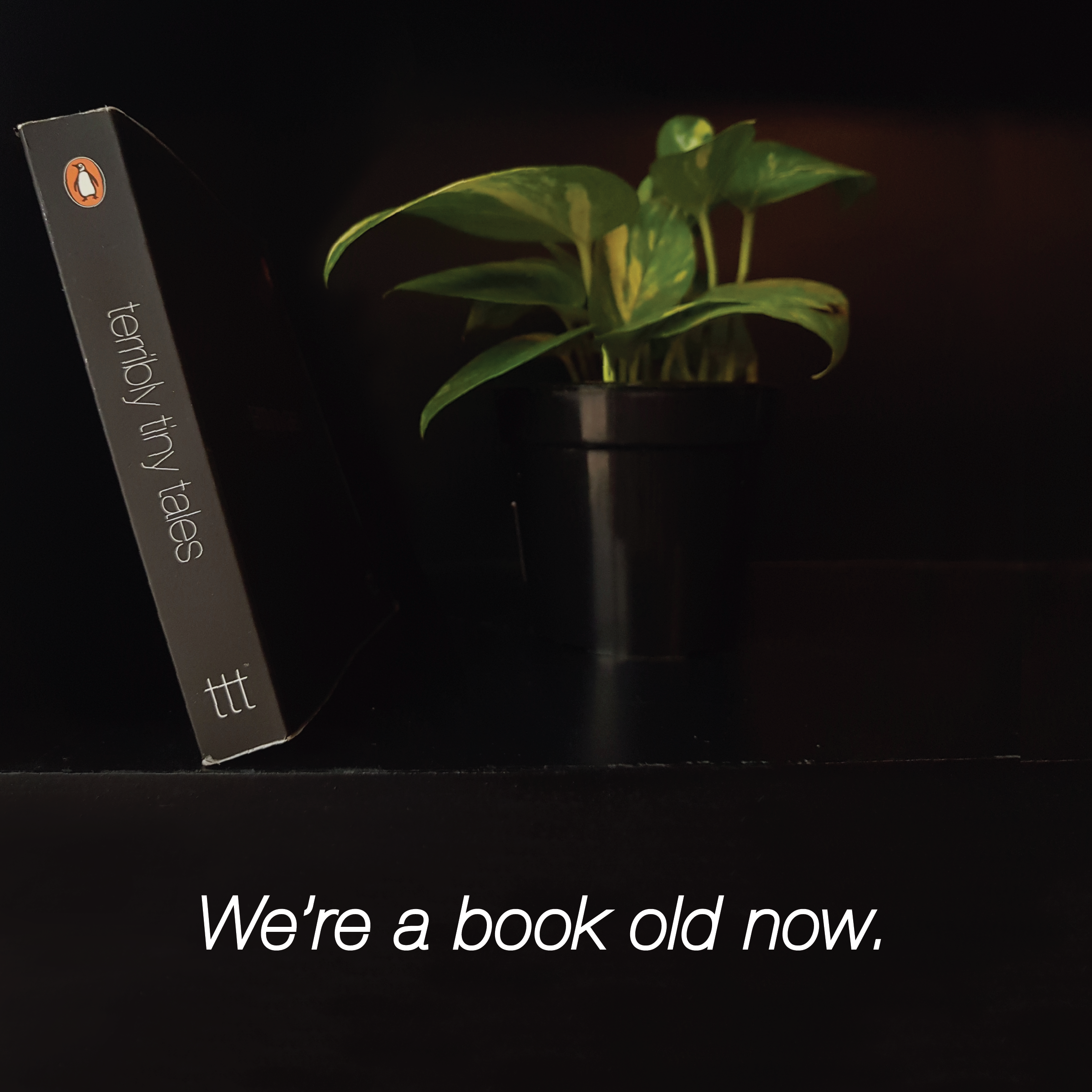 book promo-42.png