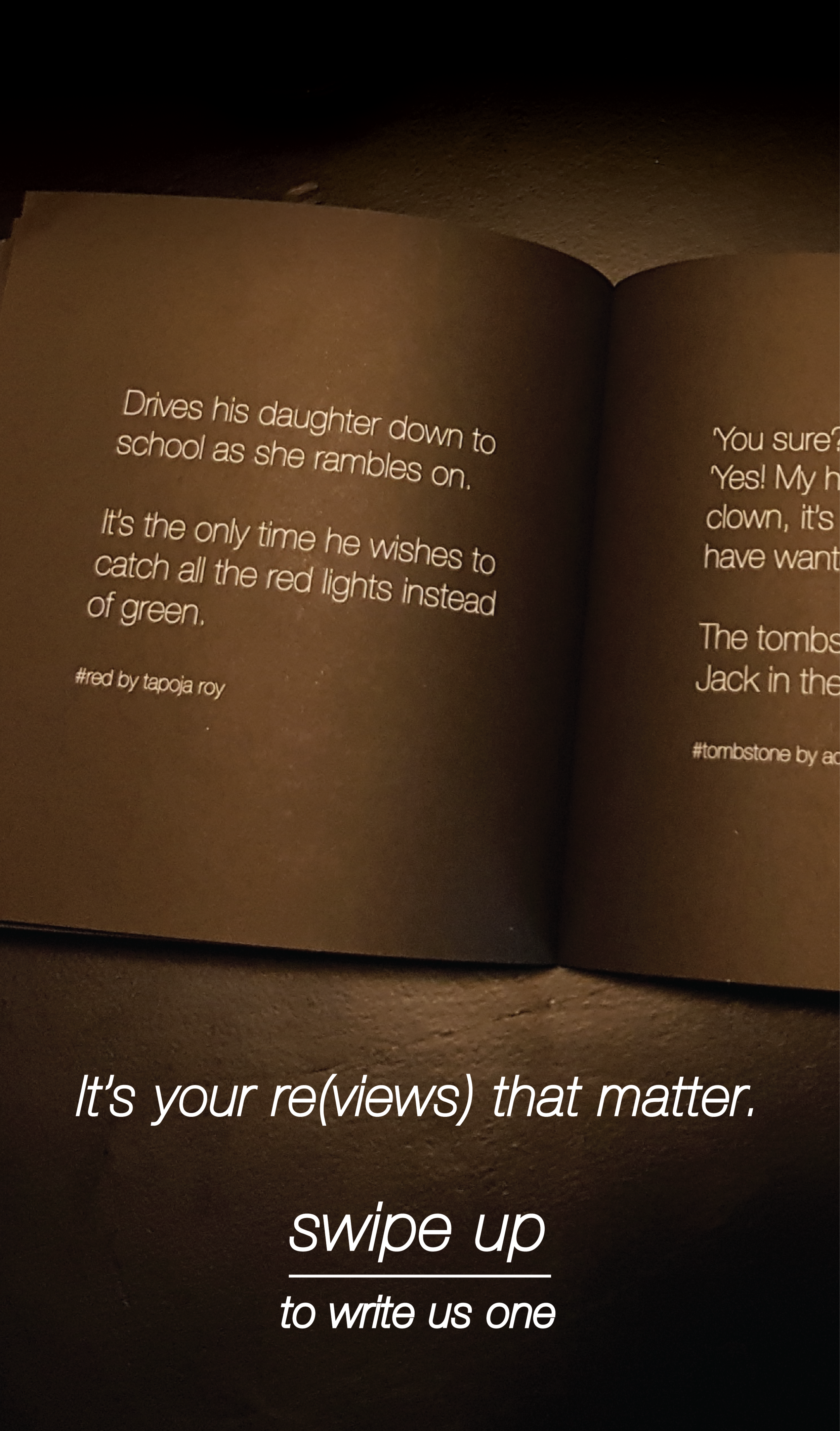 book promo-38.png