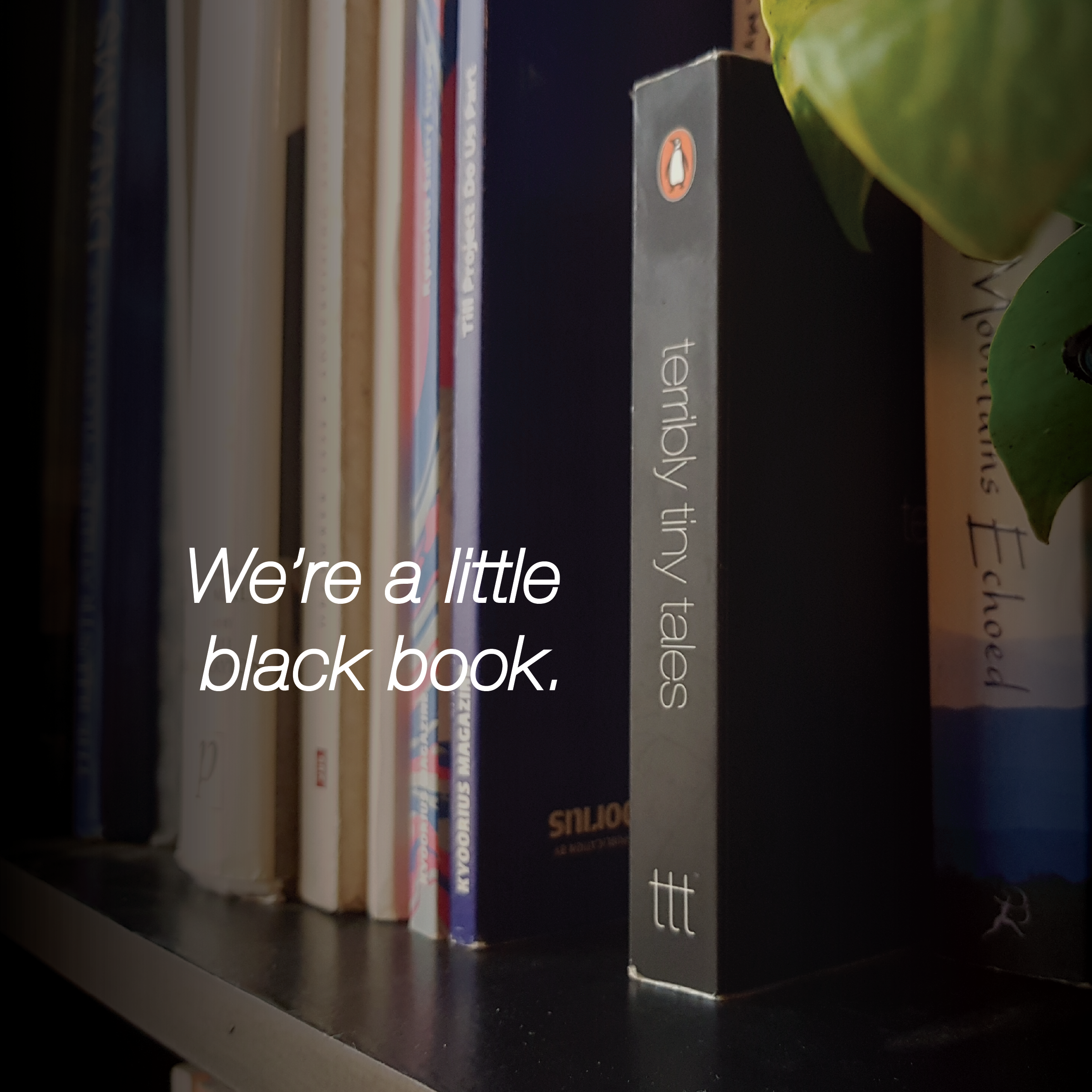 book promo-43.png