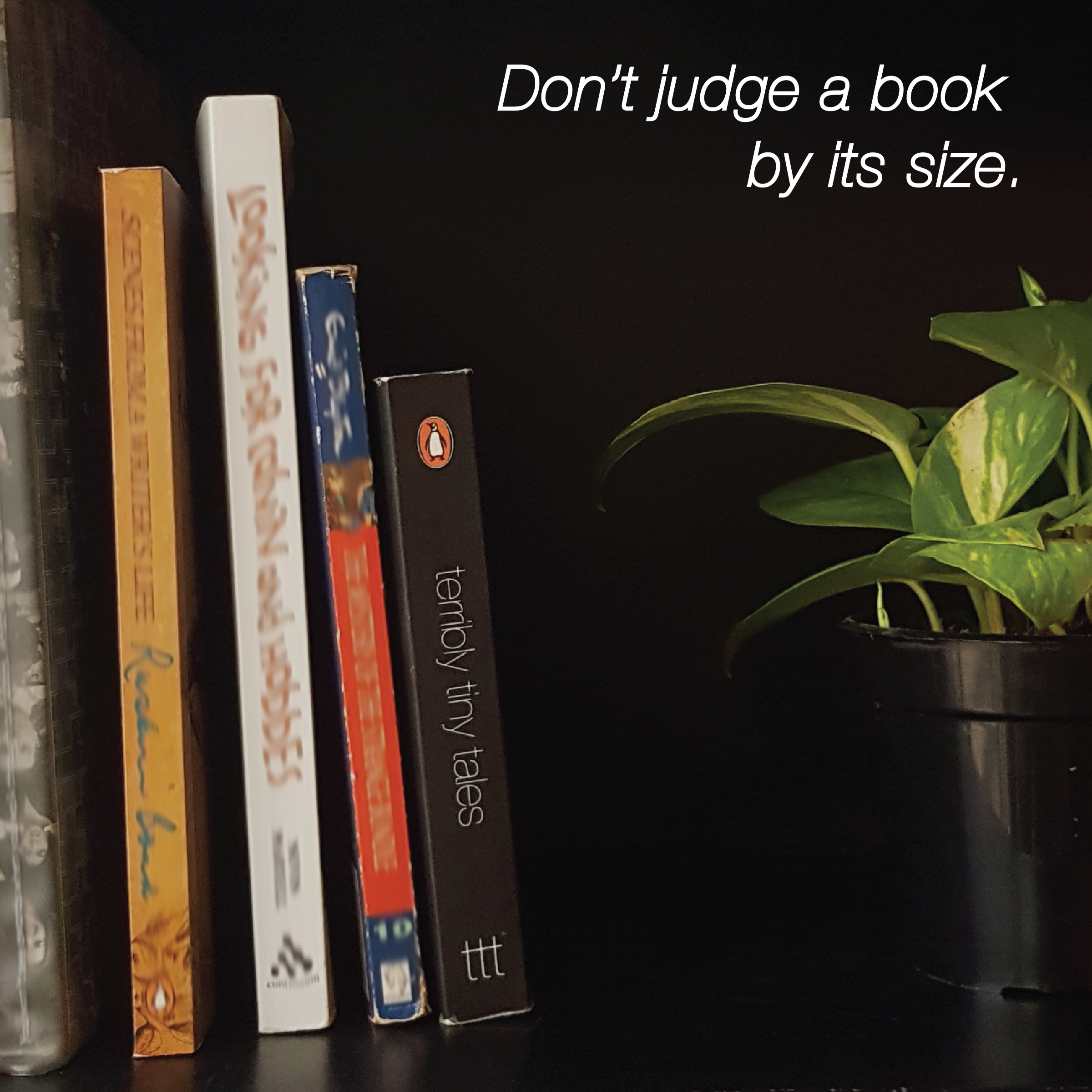 book promo-41.png