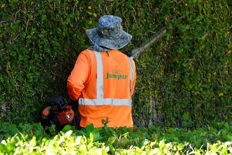 Juniper Landscaping project by Queen Bee Digital Media
