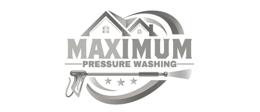 Queen Bee Website Hero-12.png