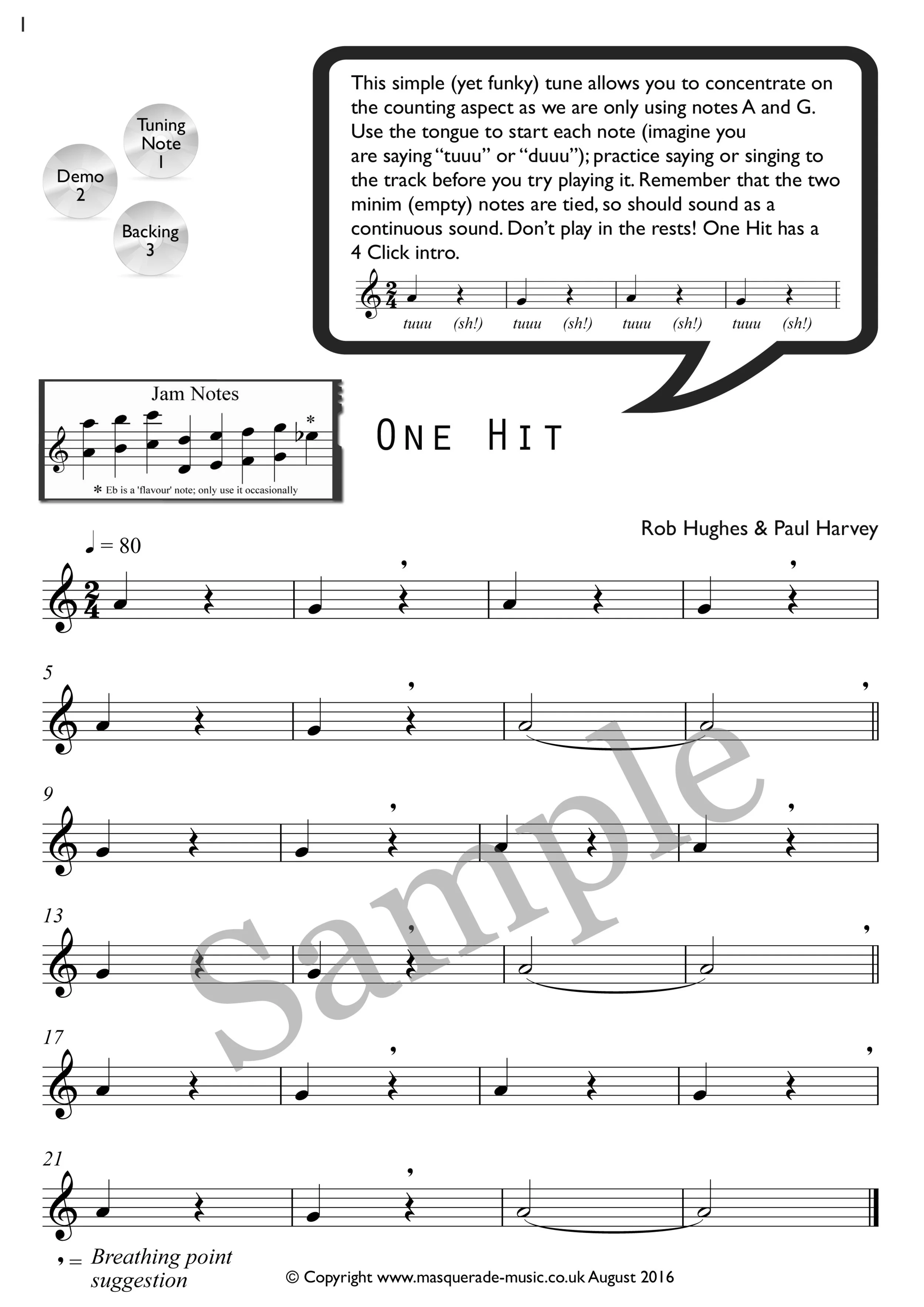 One Hit first steps flute sample page.jpg