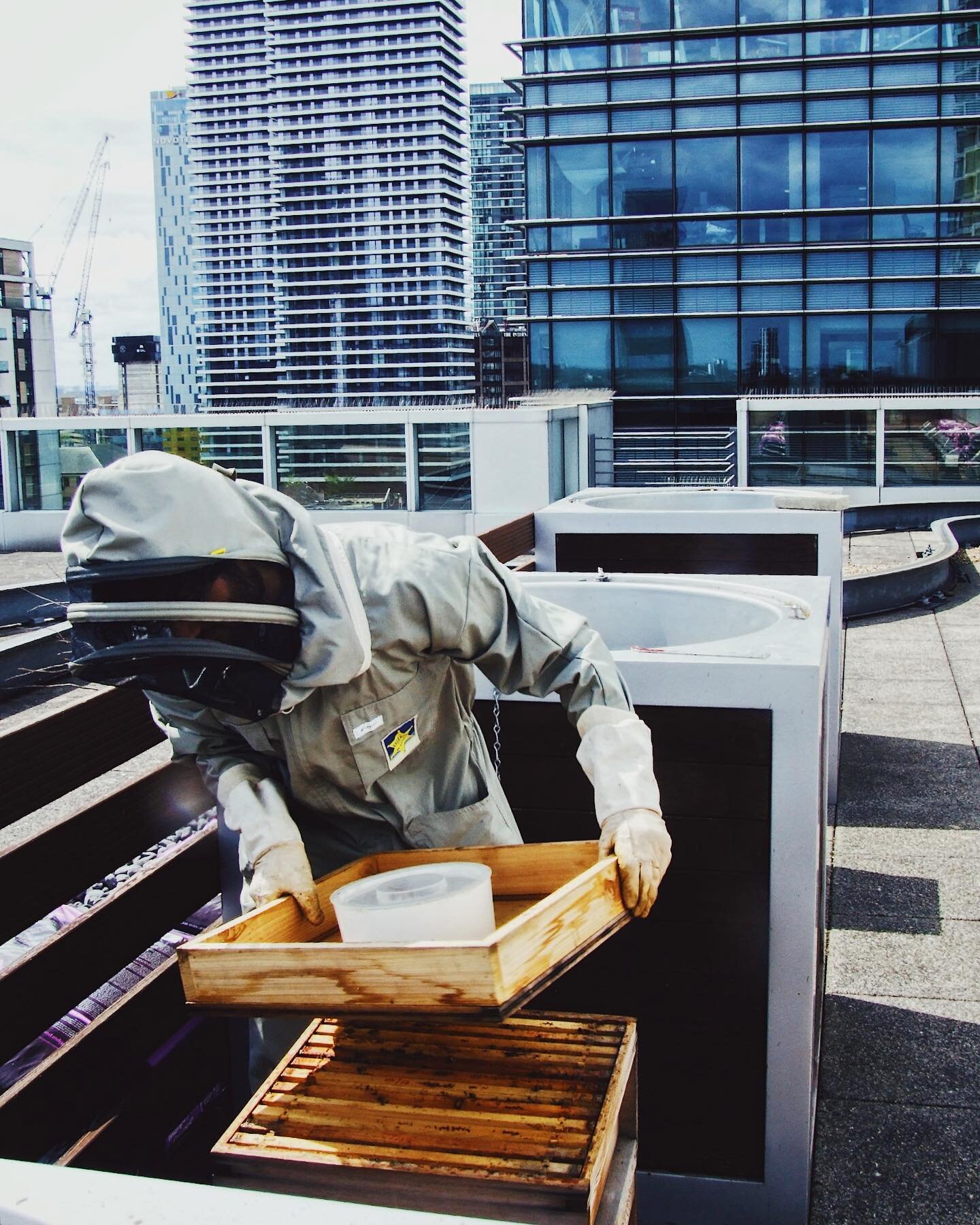 Bees love rooftops! 🐝 Our Canary Wharf bees are thriving &amp; we are so excited for this year&rsquo;s honey harvest 😋
