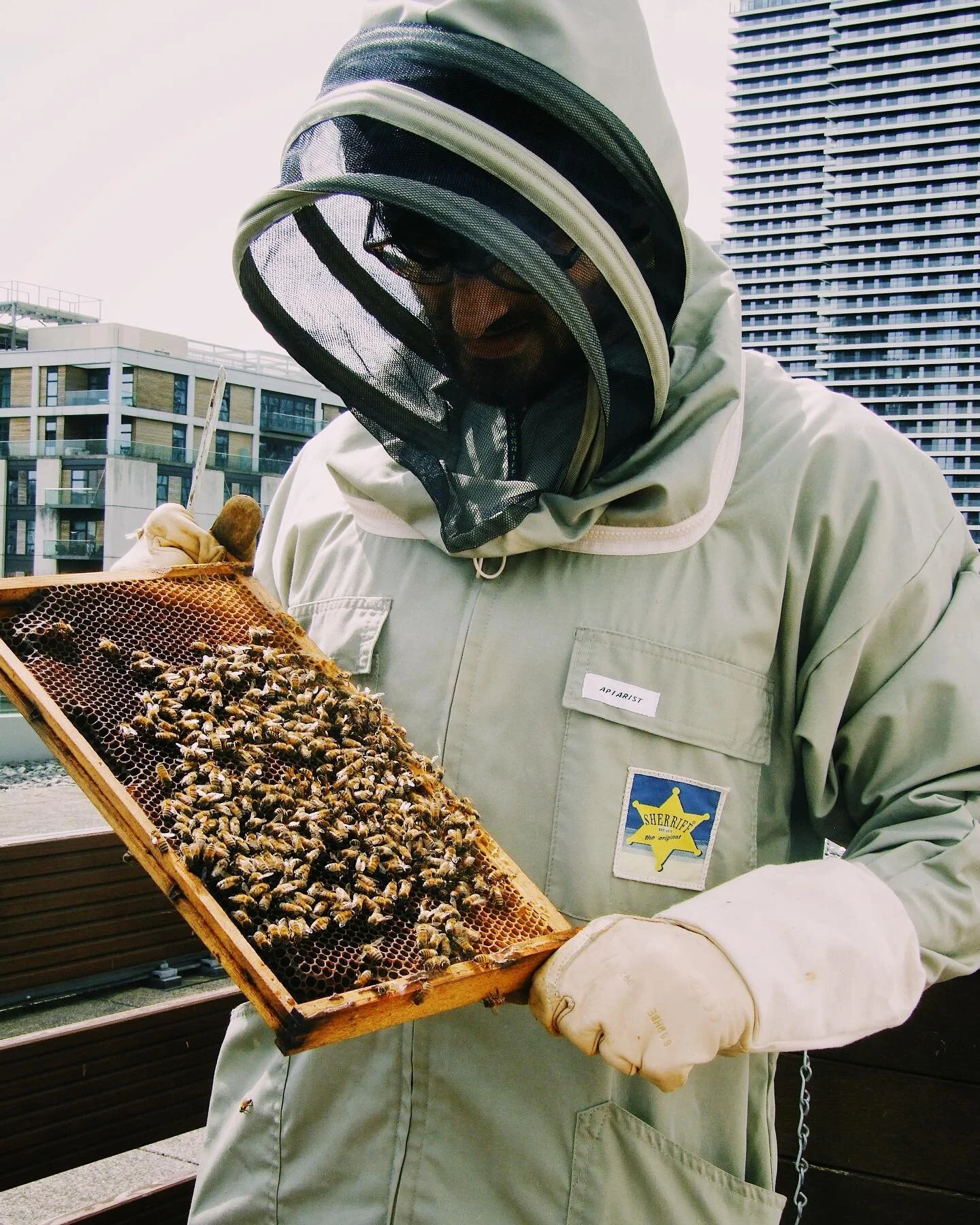 Inspecting our urban apiary in Canary Wharf 👀 ! Bees are not only able to thrive in the countryside &ndash; they also do *pretty well* in cityscapes. If you or your company are thinking of starting up an apiary but are also space pressed, that&rsquo