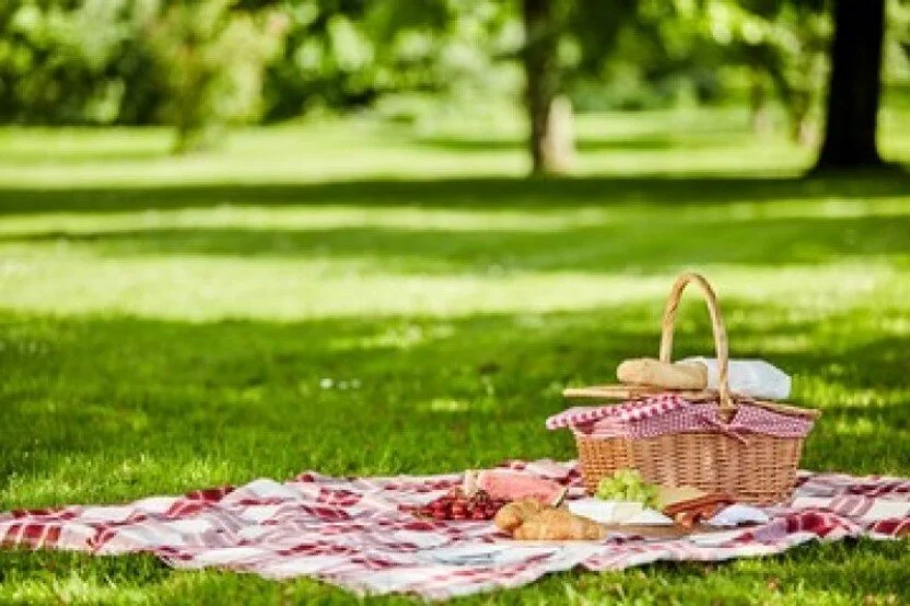 New School Year Family Welcome Picnic