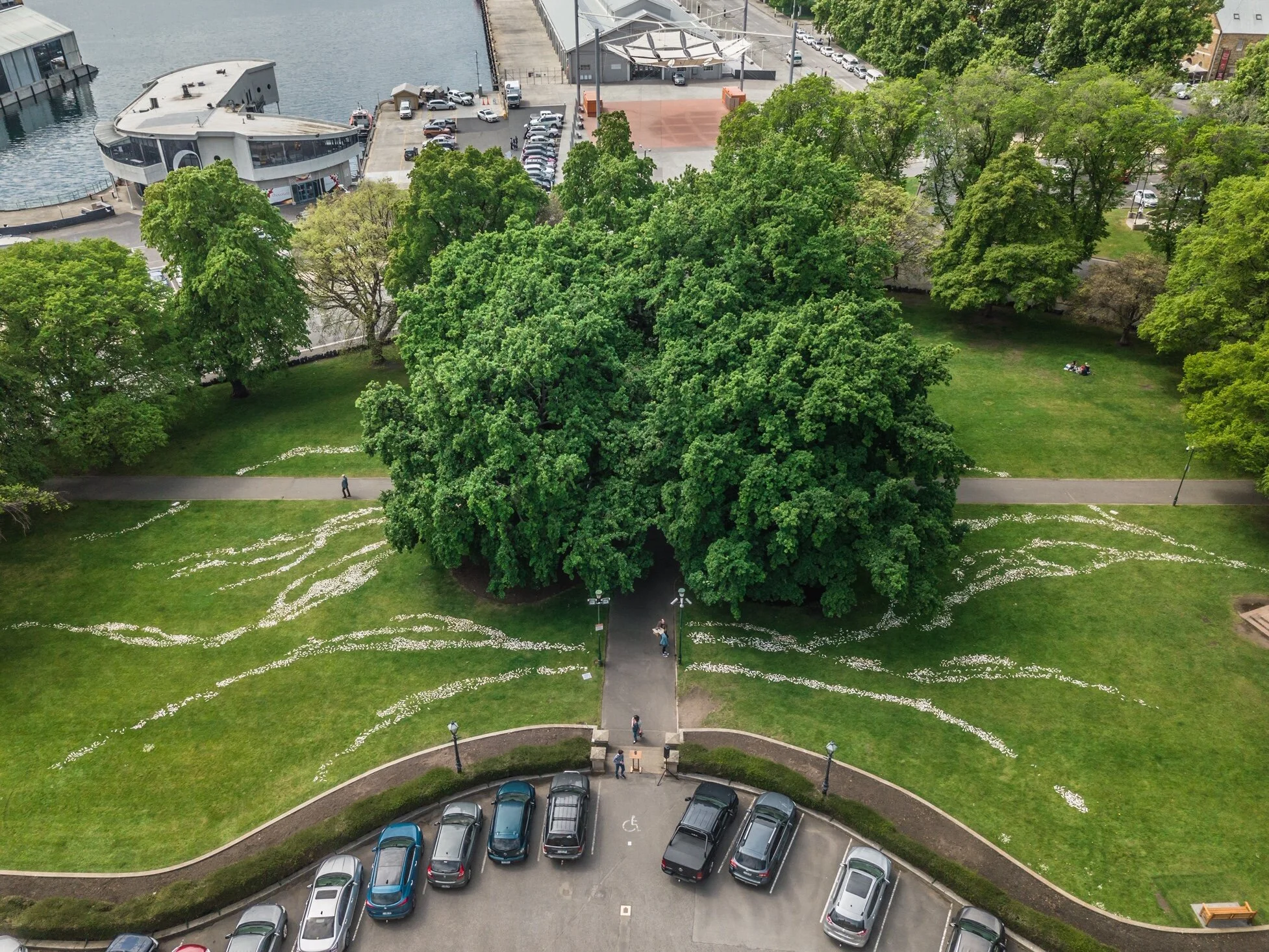 Michael James Henderson