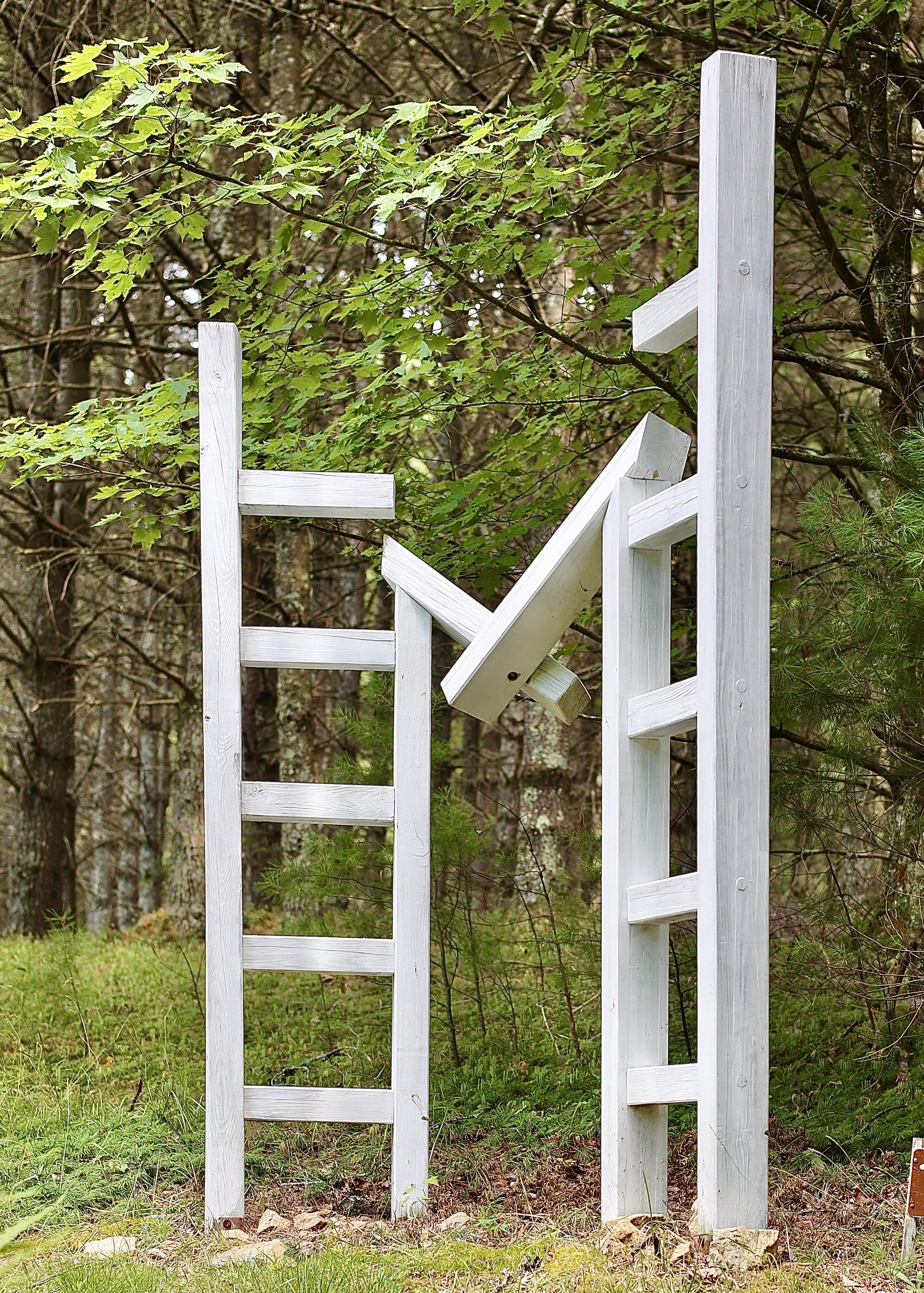 Abstract wooden structure resembling ladders in a forest setting