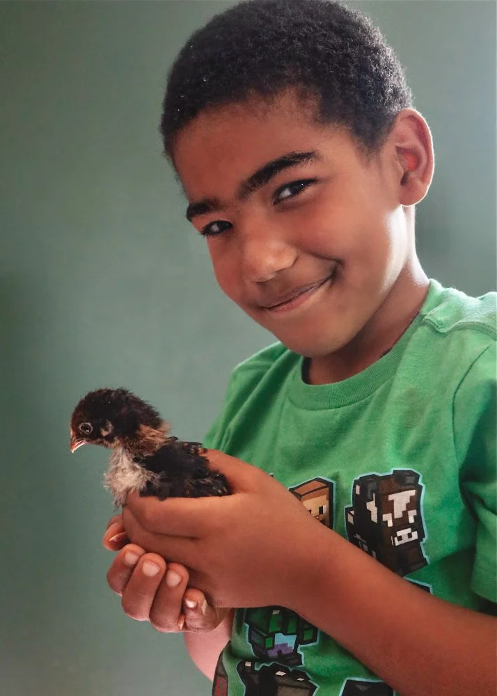 boy-holding-chick-final-Whittenberger-Wild-Farm-Kristine-Carter-Photography.jpg