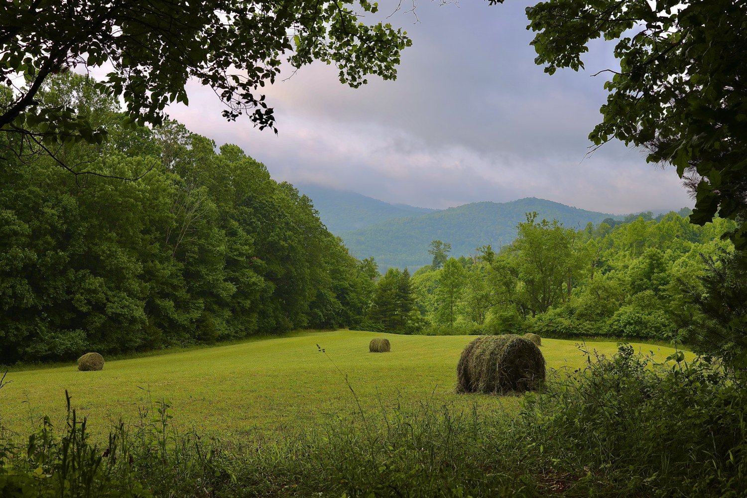 Grassy field with large hay bales surrounded by lush green trees and rolling hills under a cloudy sky.