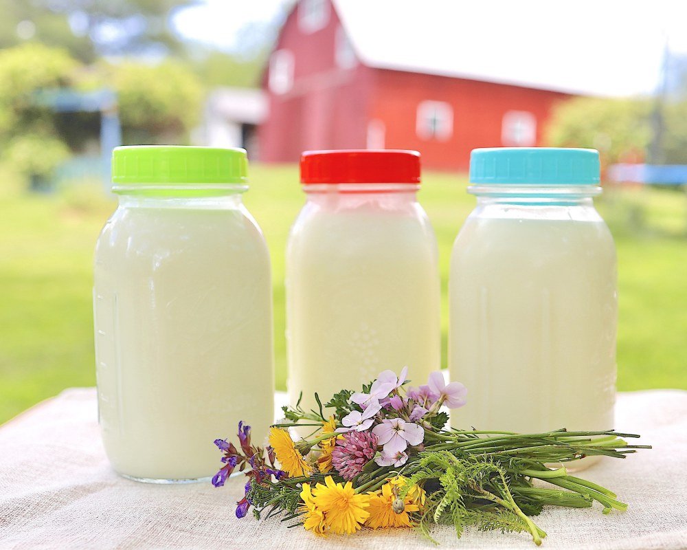 Three glass jars of milk with colorful lids and a small bouquet of wildflowers on a table, with a red barn in the blurred background.