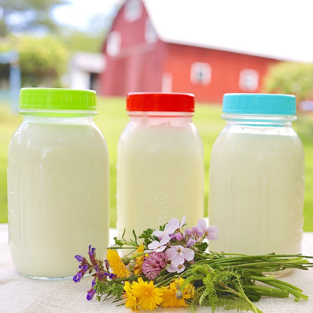 raw-milk-herd-share-jars-square-shotSkipwillow-Farm.jpg