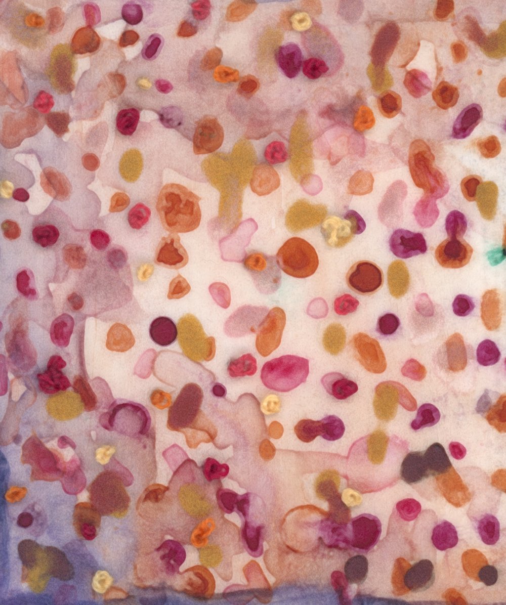 01_02 The Cat Who Knew Her Best Detail 4.jpg