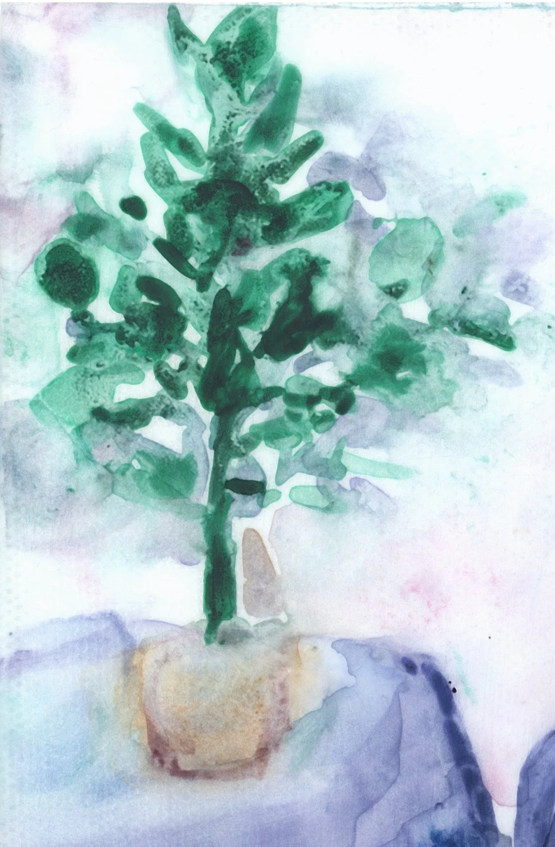 01_02 The Cat Who Knew Her Best Detail 2.jpg