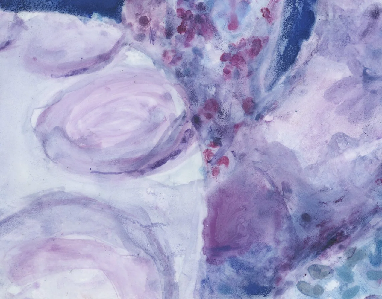 03 What The Clouds Saw detail 4.jpg