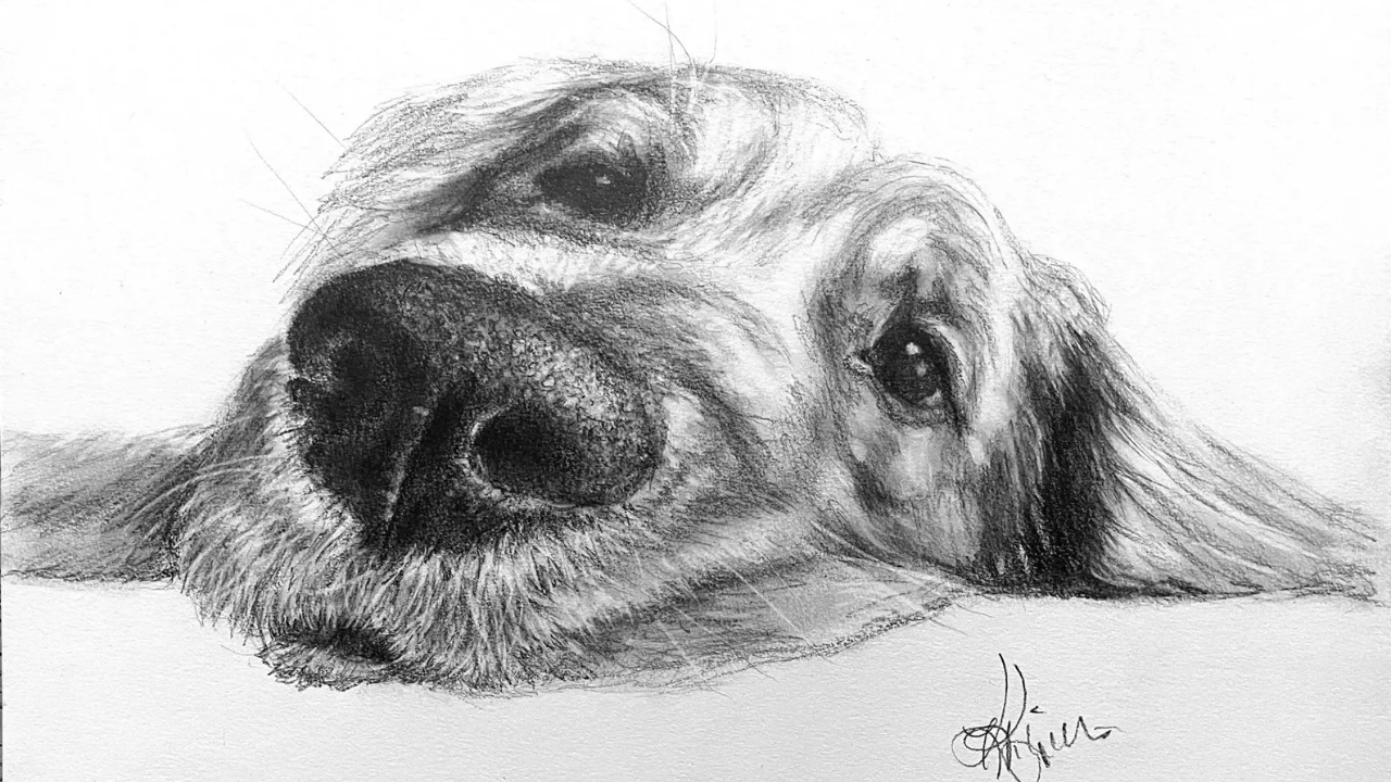 Kathy Kitzmiller Fine Art (Portrait Artist): Social Media + Etsy Management