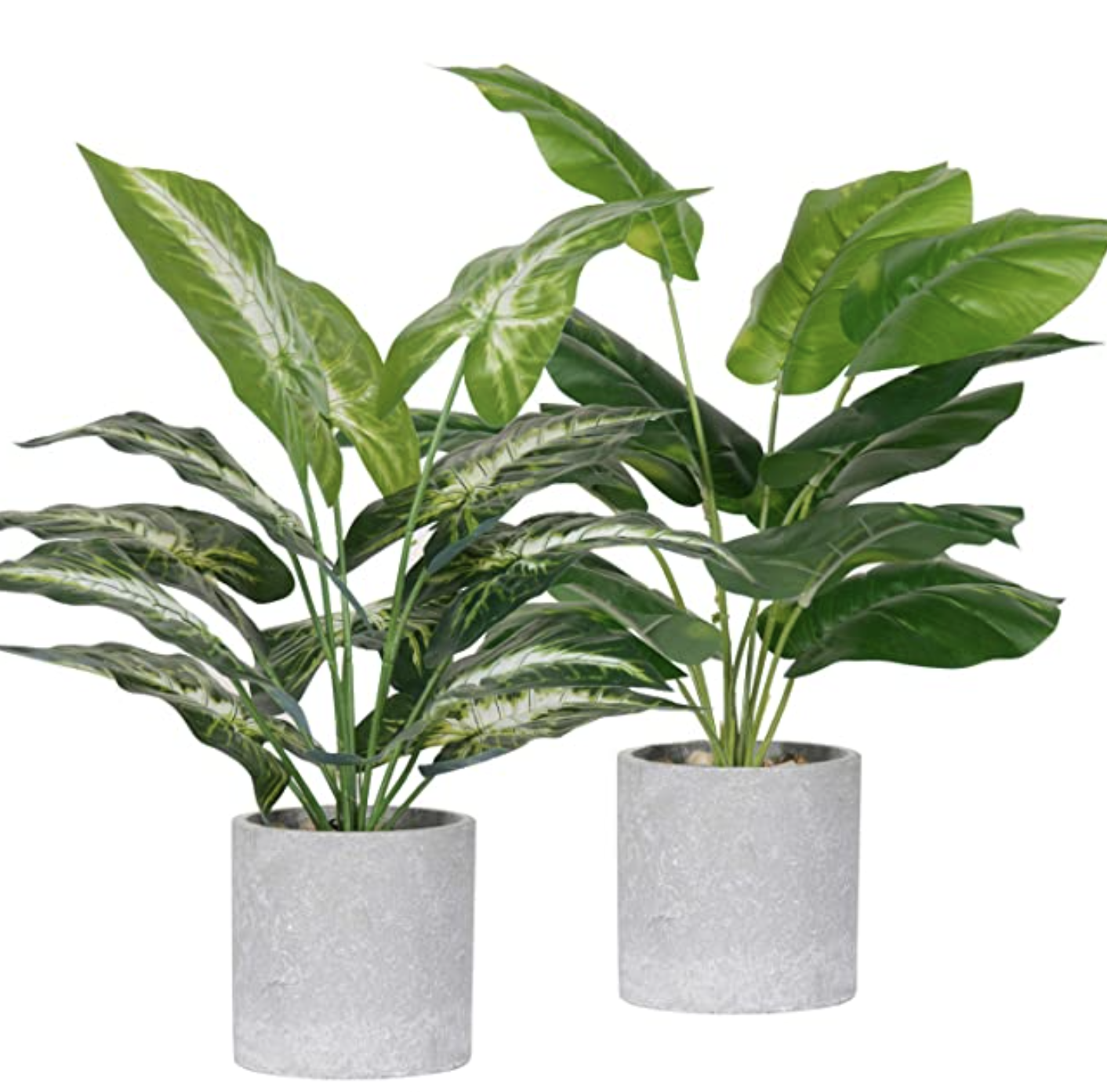 gray fake plants