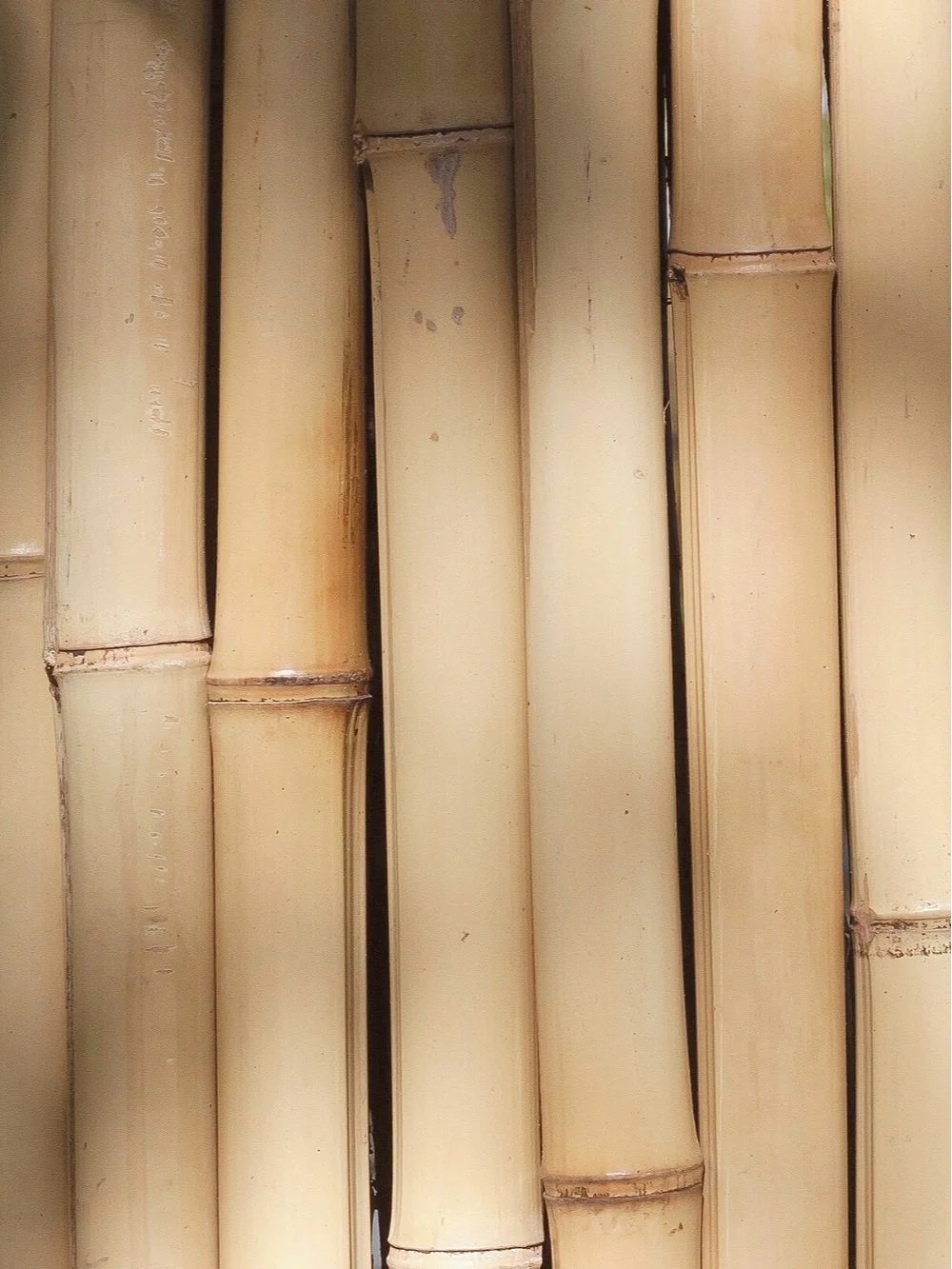 22 BEST Bamboo Kitchen Ideas! (Aesthetic &amp; Functional)