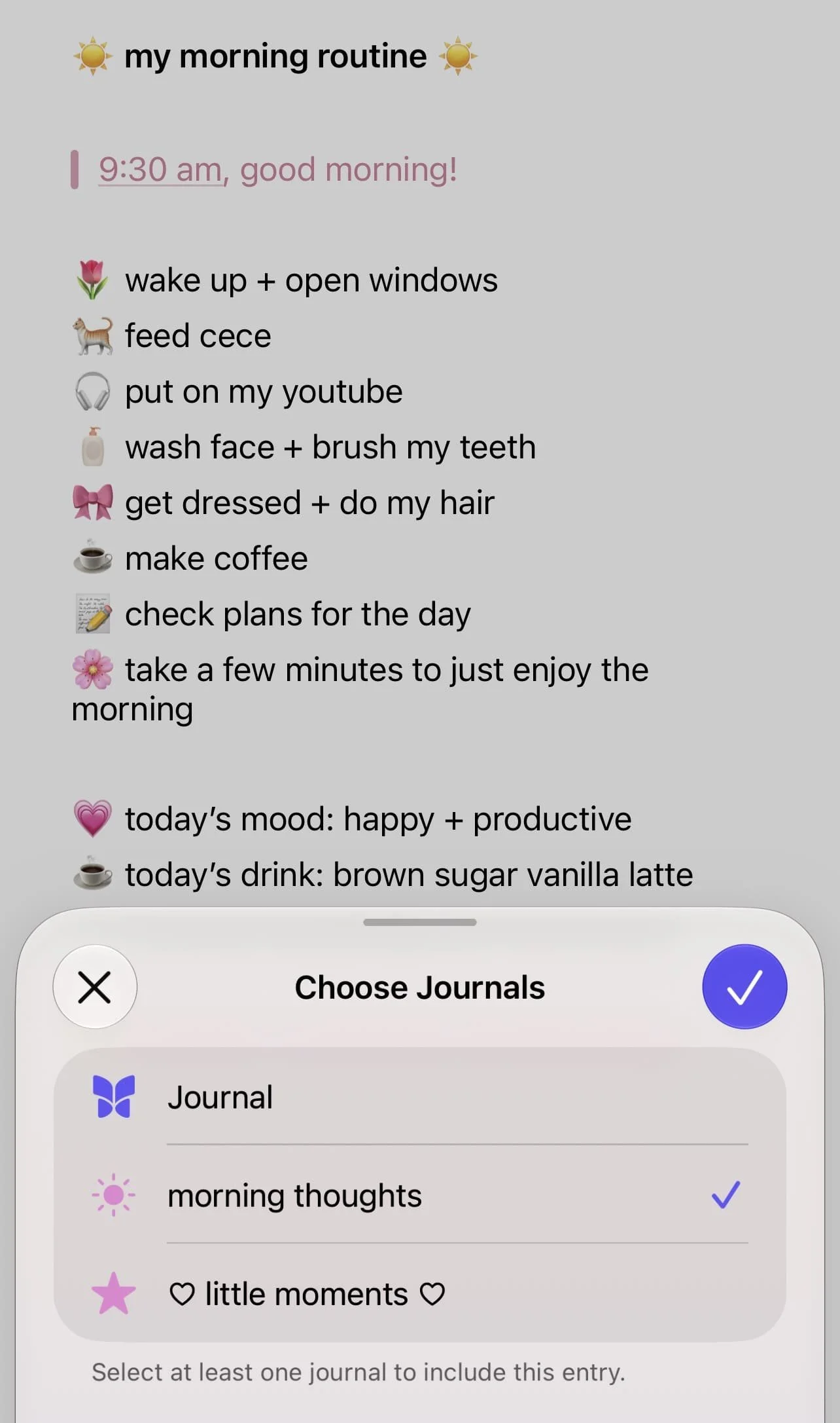 apple journal customization
