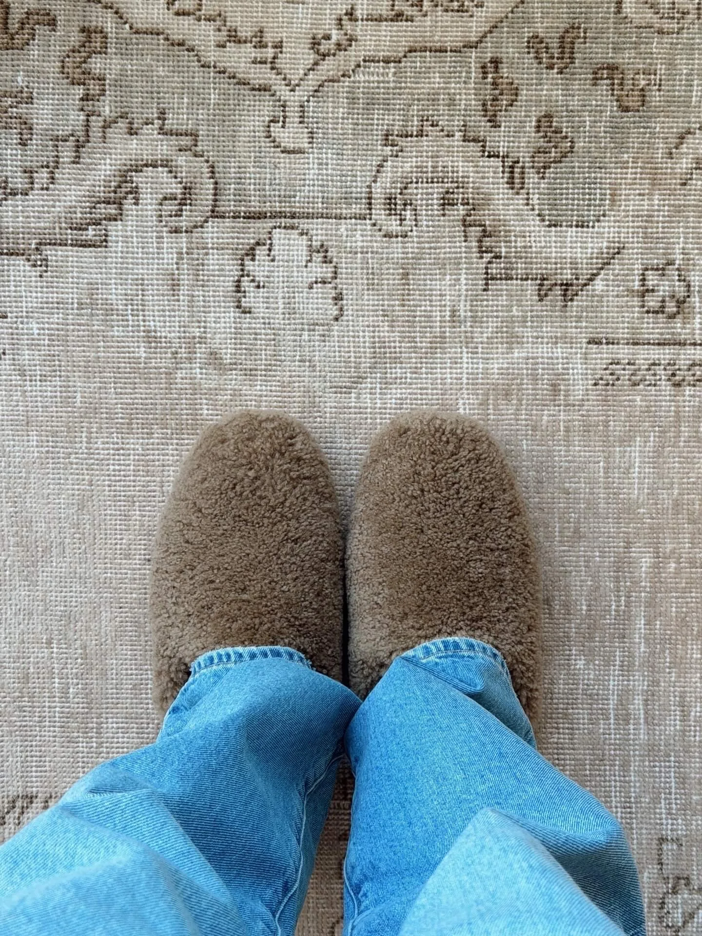 renter-friendly sustainable decor tips