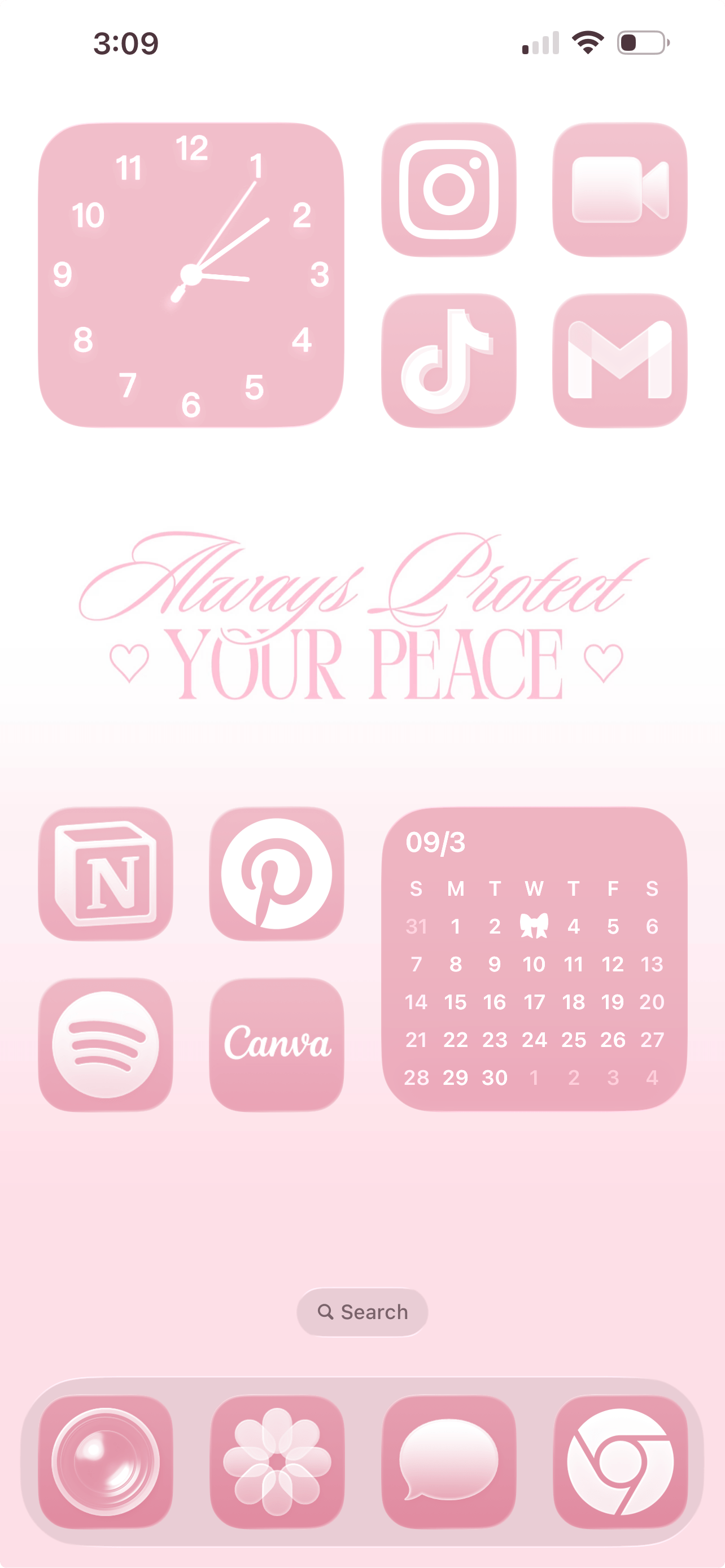 aesthetic iphone layout