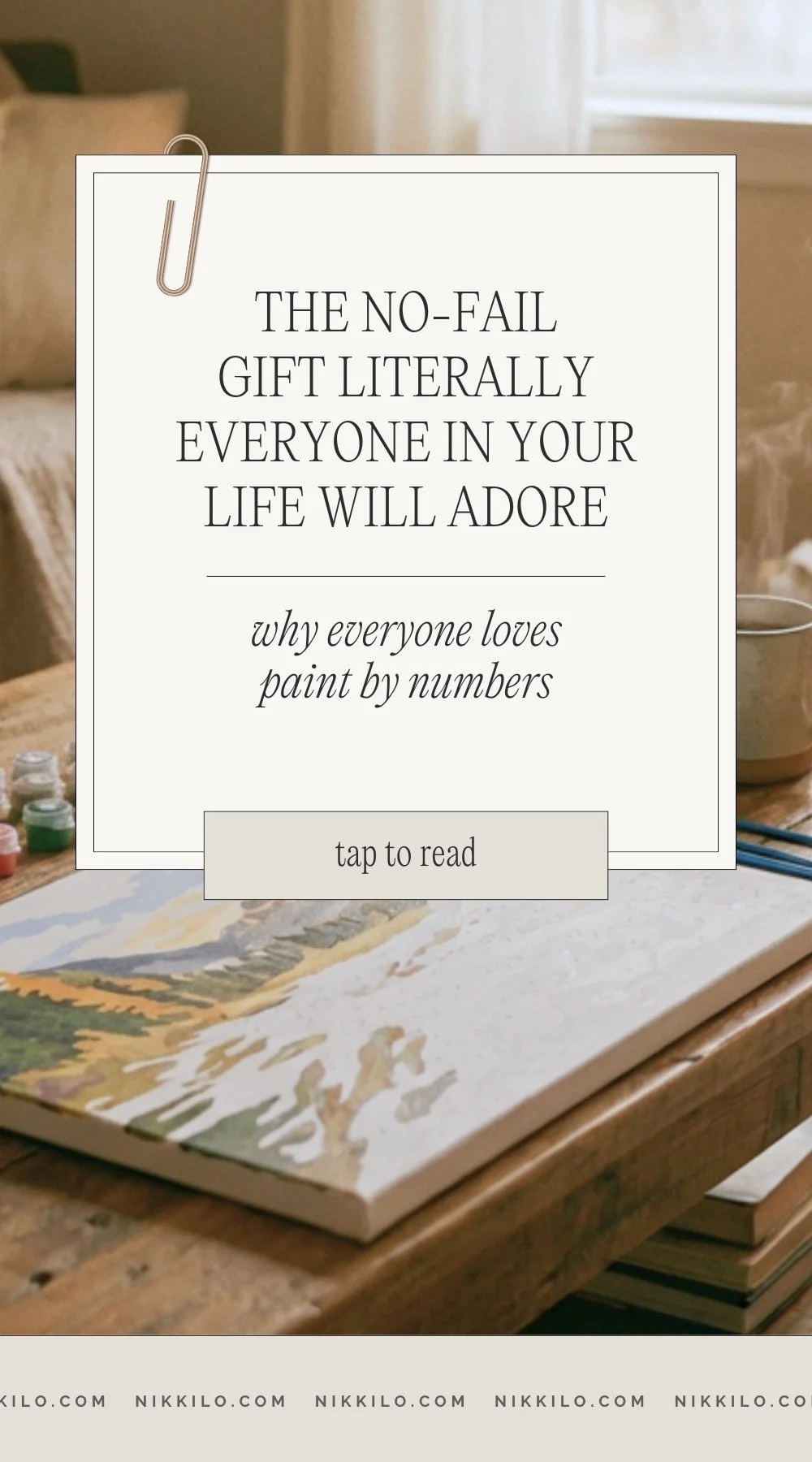 paint by numbers gift idea