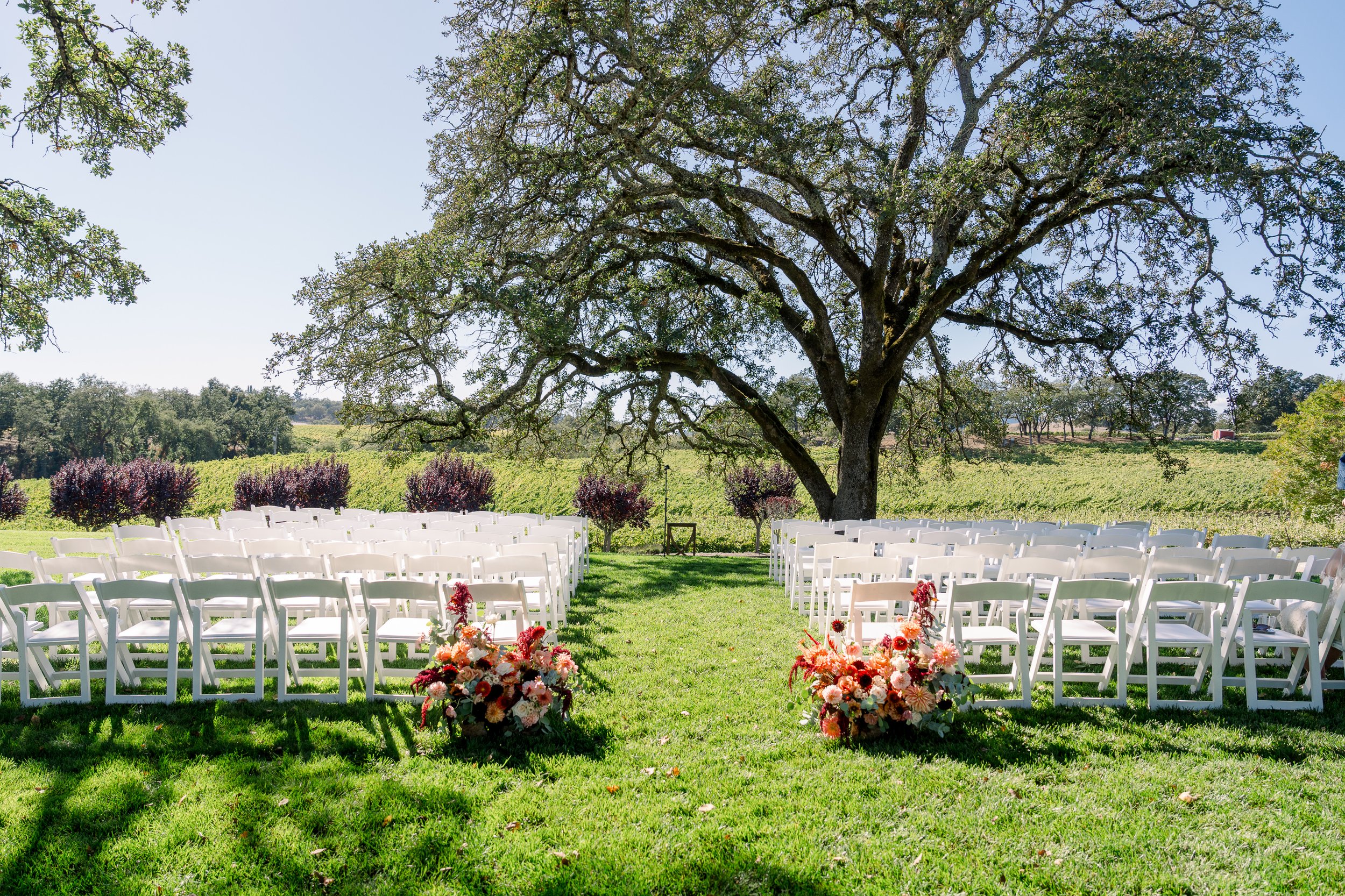 Taylor+Luka_Ceremony-1.JPG