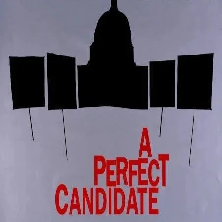 perfect+candidate.jpg