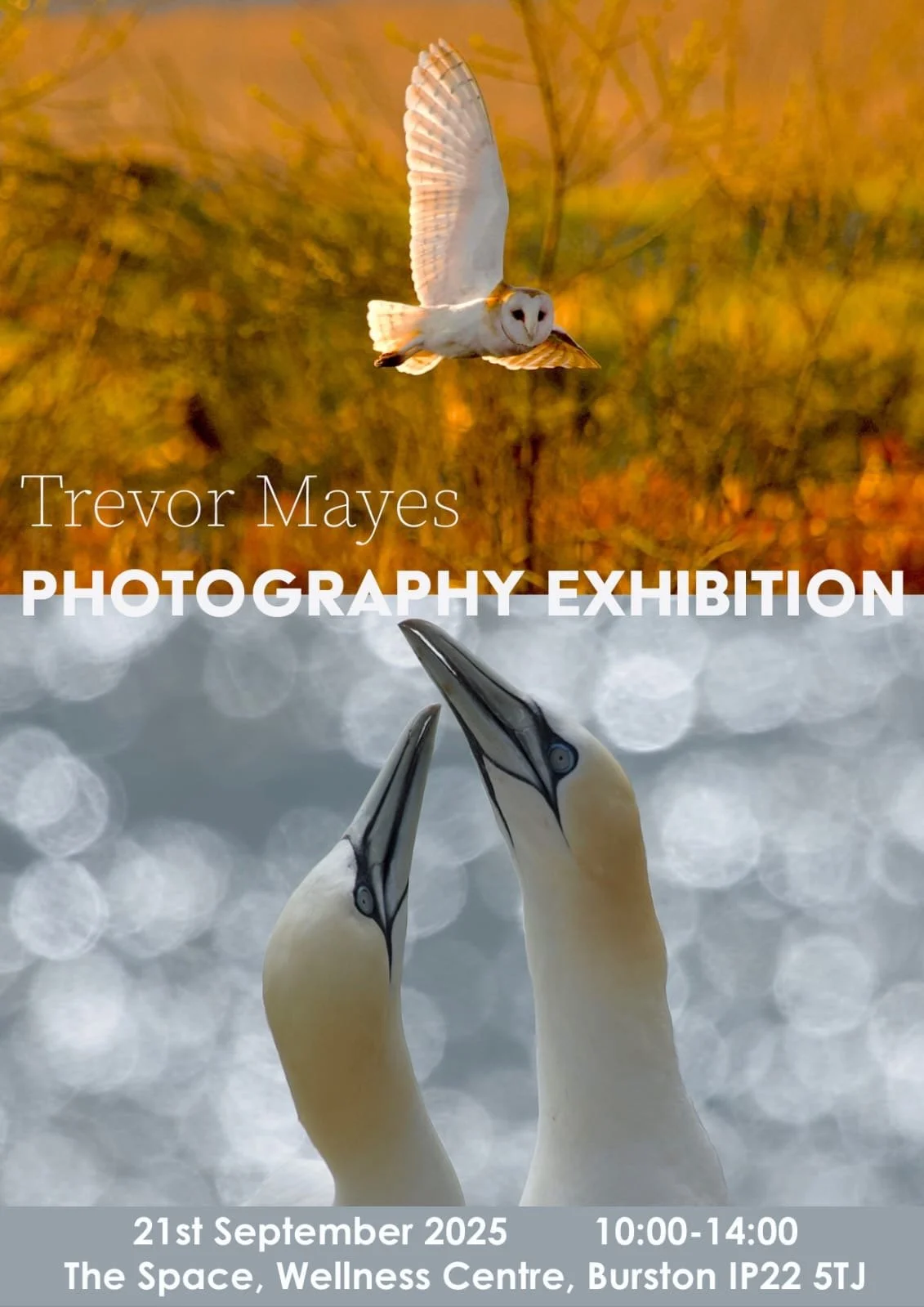 Photography Exhibition - Trevor Mayes