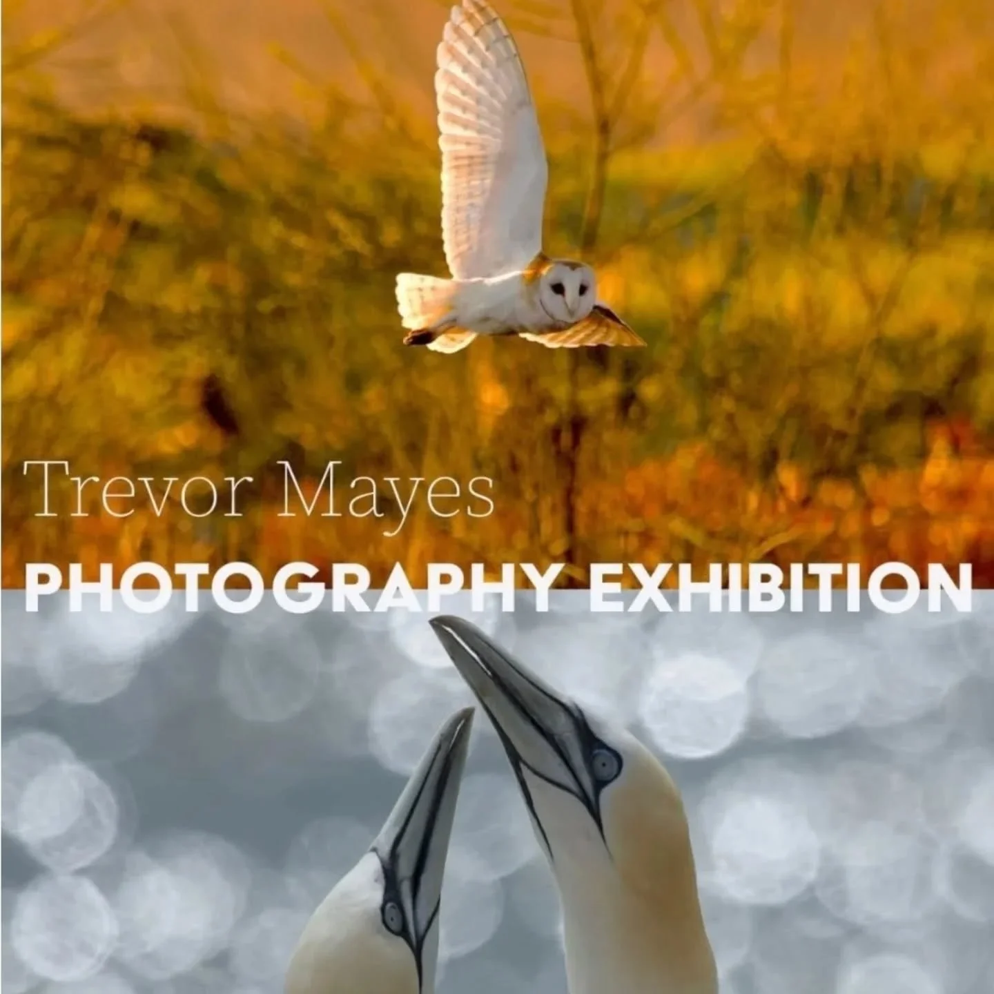 New to The Space, our first photography exhibition. In fact, our first exhibition of any kind. We are delighted!

Sunday 21st September 10am-2pm. 

Join talented local photographer, Trevor Mayes @trevormayesphotography for a feast for the eyes. 

Tre