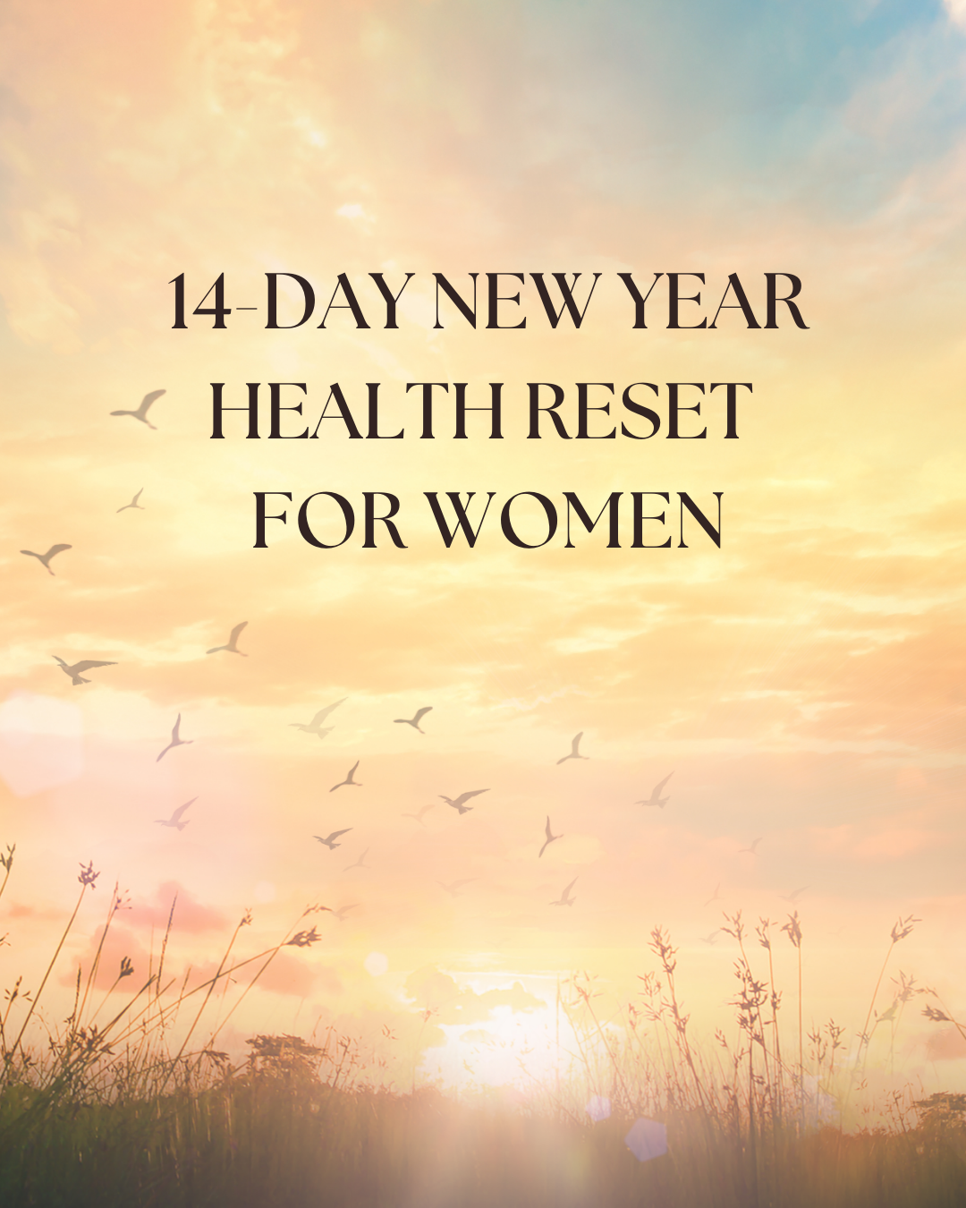 Women's New Year 14 Day Health Reset Programme (ONLINE)