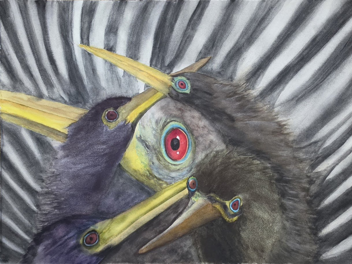 Anhingas This Way and That