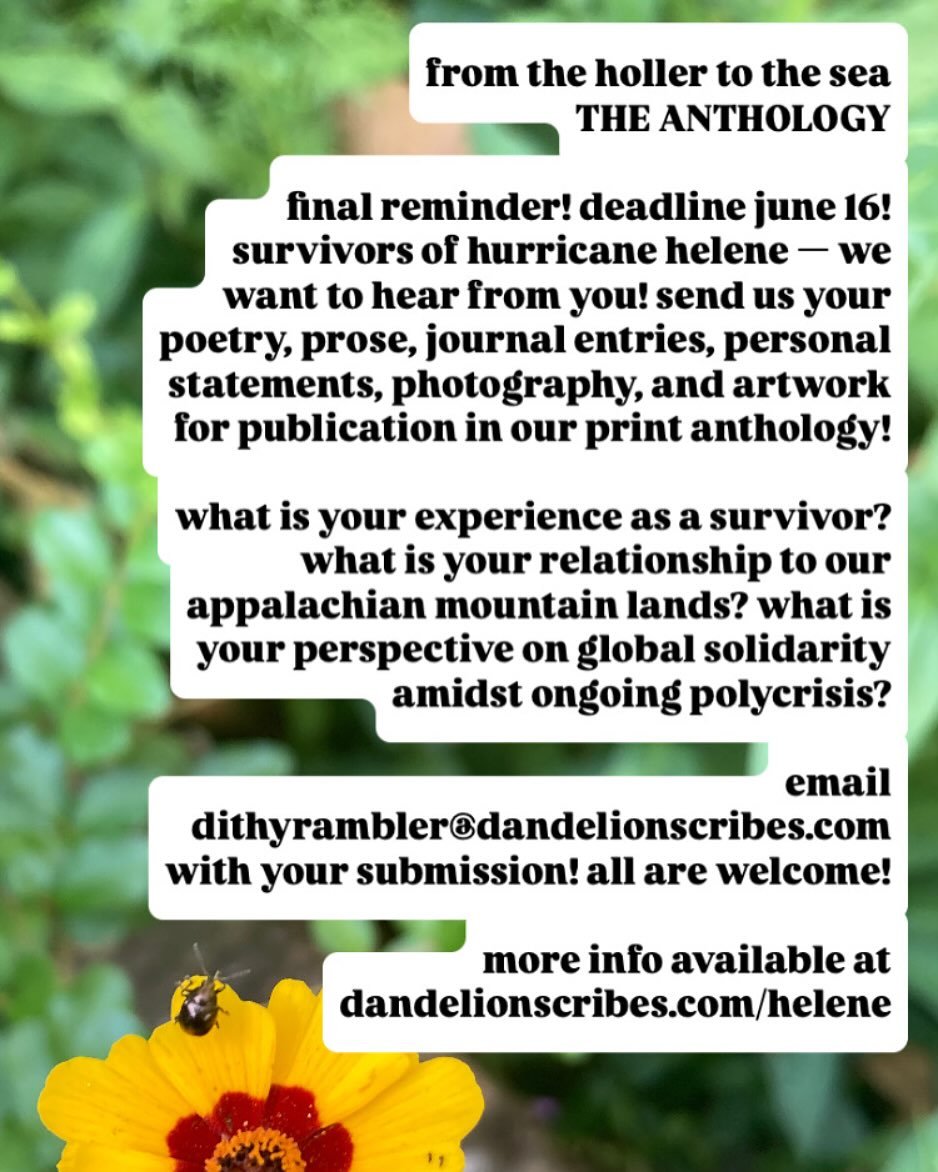 final reminder! &lsquo;from the holler to the sea&rsquo; THE ANTHOLOGY deadline june 16! 💚