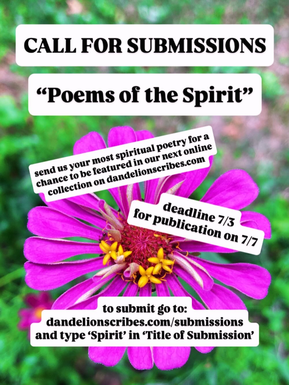 NEW Call for Submissions!

Send us your most spiritual poetry for our next online collection, &ldquo;Poems of the Spirit&rdquo;

Deadline 7/3 for publication on 7/7 🌞

go to dandelionscribes.com/submissions
and type &lsquo;Spirit&rsquo; in &lsquo;Ti