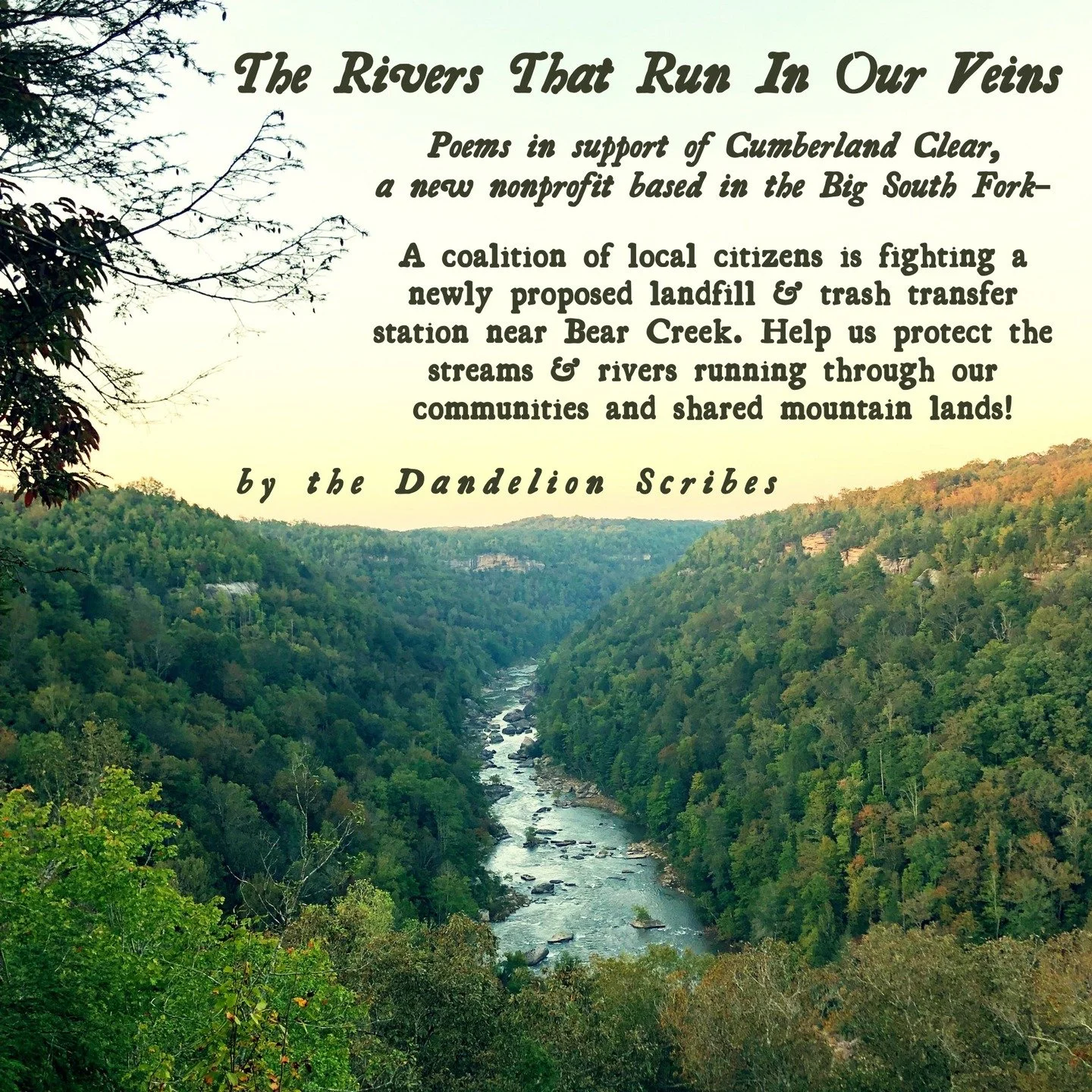 NEW on the Scribes! &ndash; &quot;The Rivers That Run In Our Veins&quot;
in support of Cumberland Clear 💙

Read it NOW on dandelionscribes.com

In the nearly three months that have gone by since we published SCREAMING CICADAS, efforts have escalated