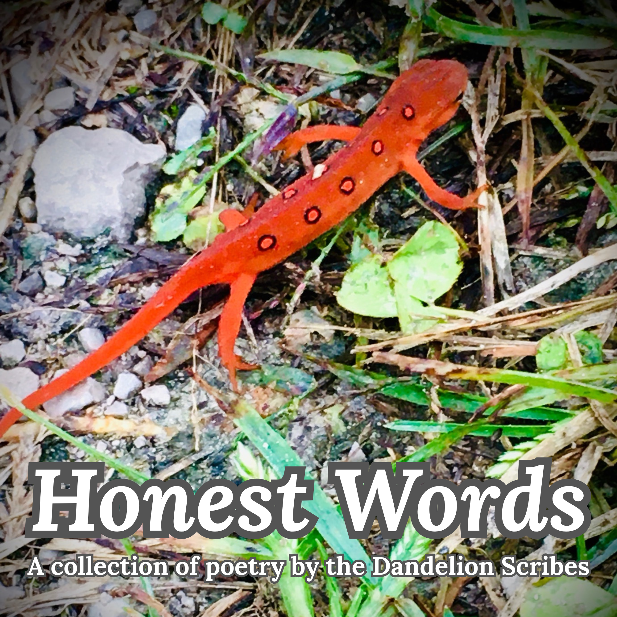 Honest Words
