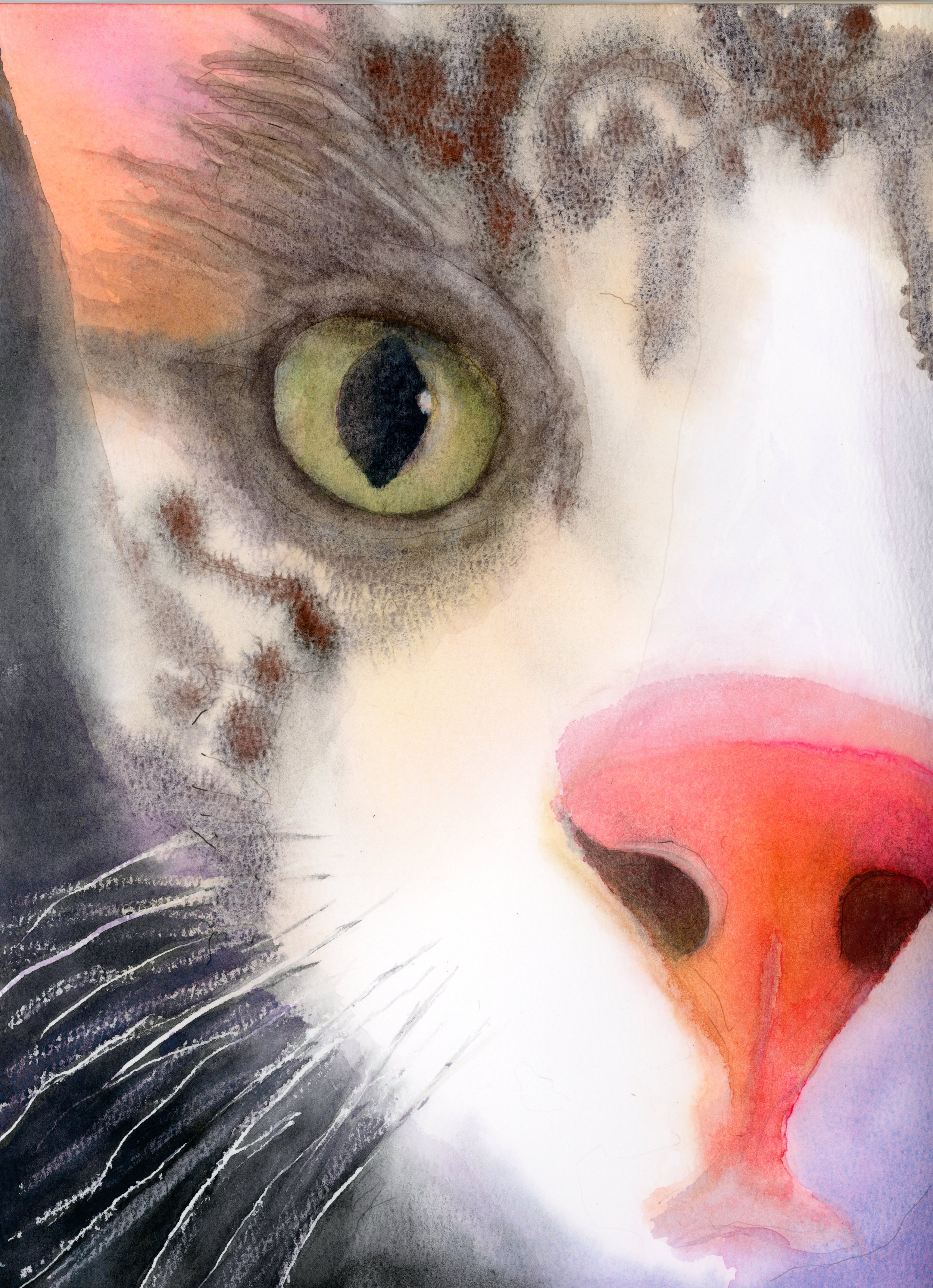 Dean-NOse