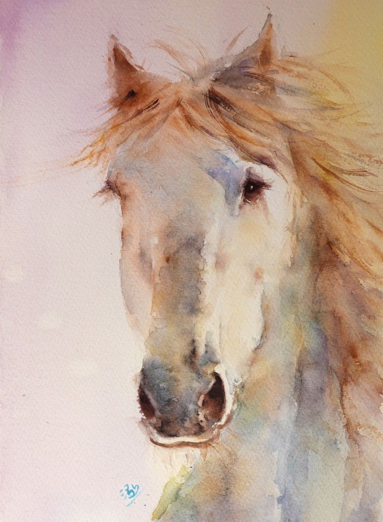 Wild Spirit Unbroken