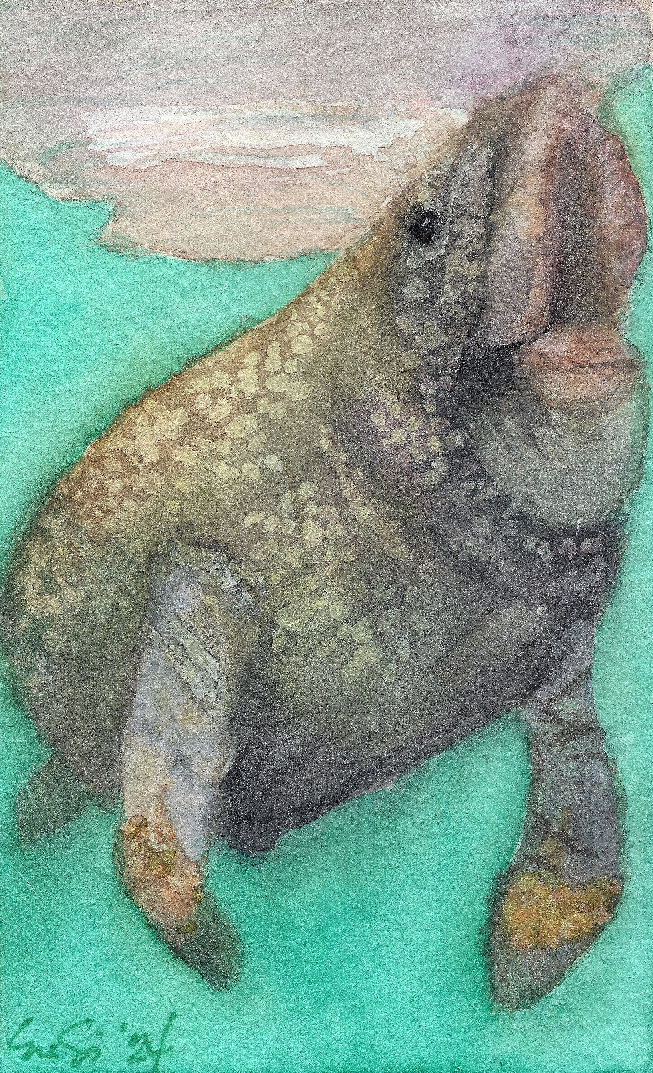 Manatee Beneath the Surface