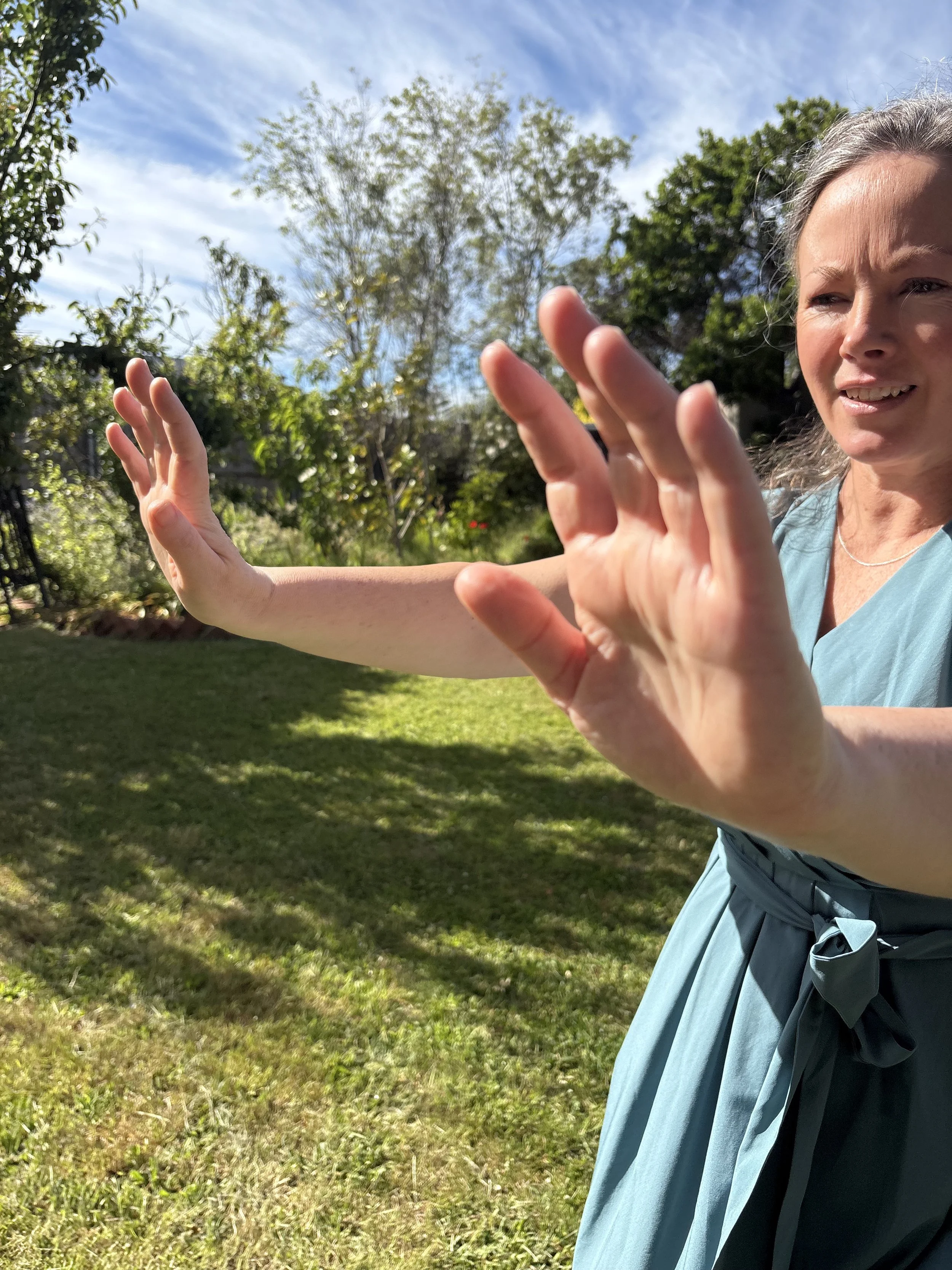 Chi-Do Movement Meditation 