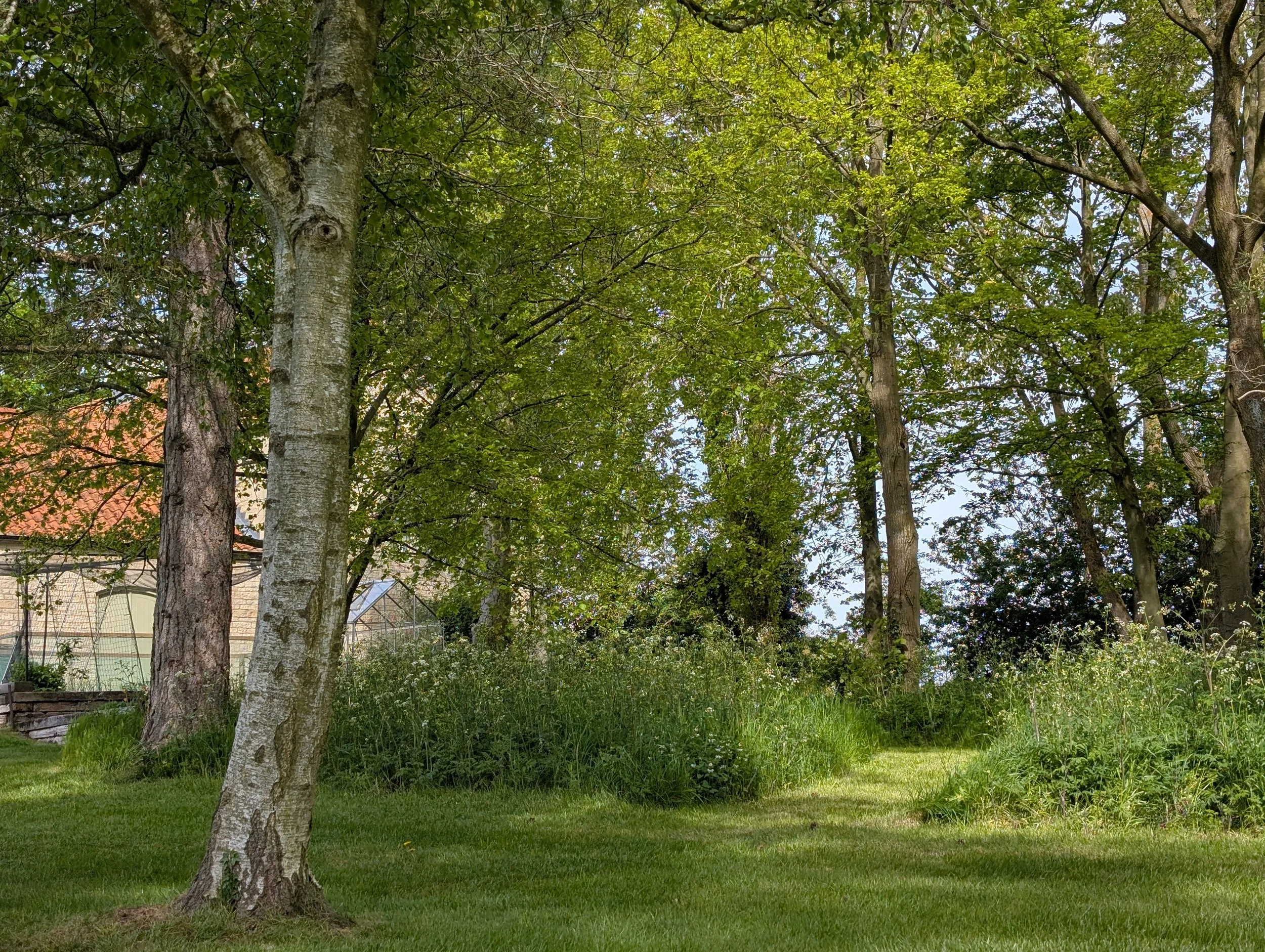Private woodland, tree surveying and tree surgery.