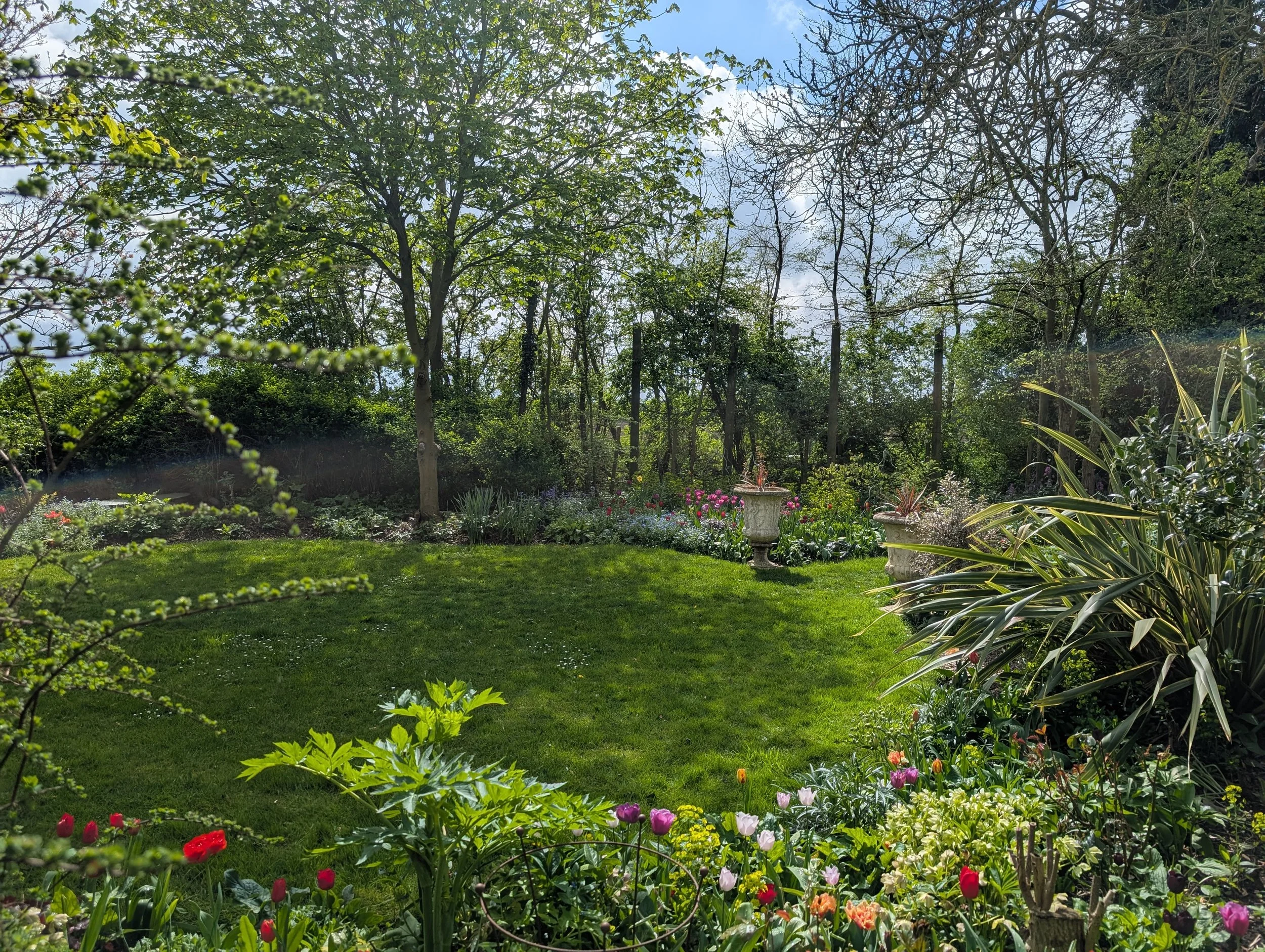 Tree surveys, reports and surgery.