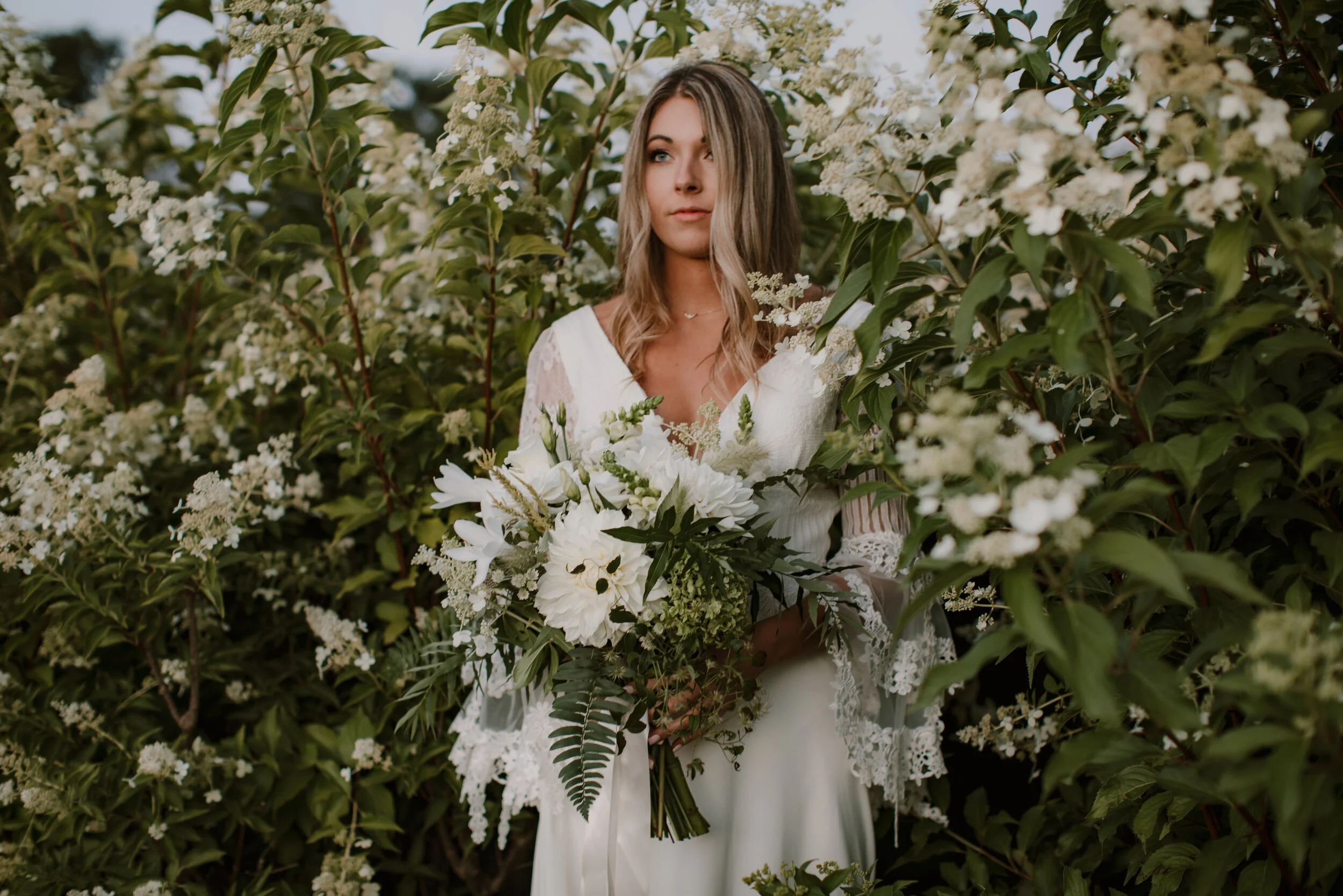 Whitney Nichols Photography