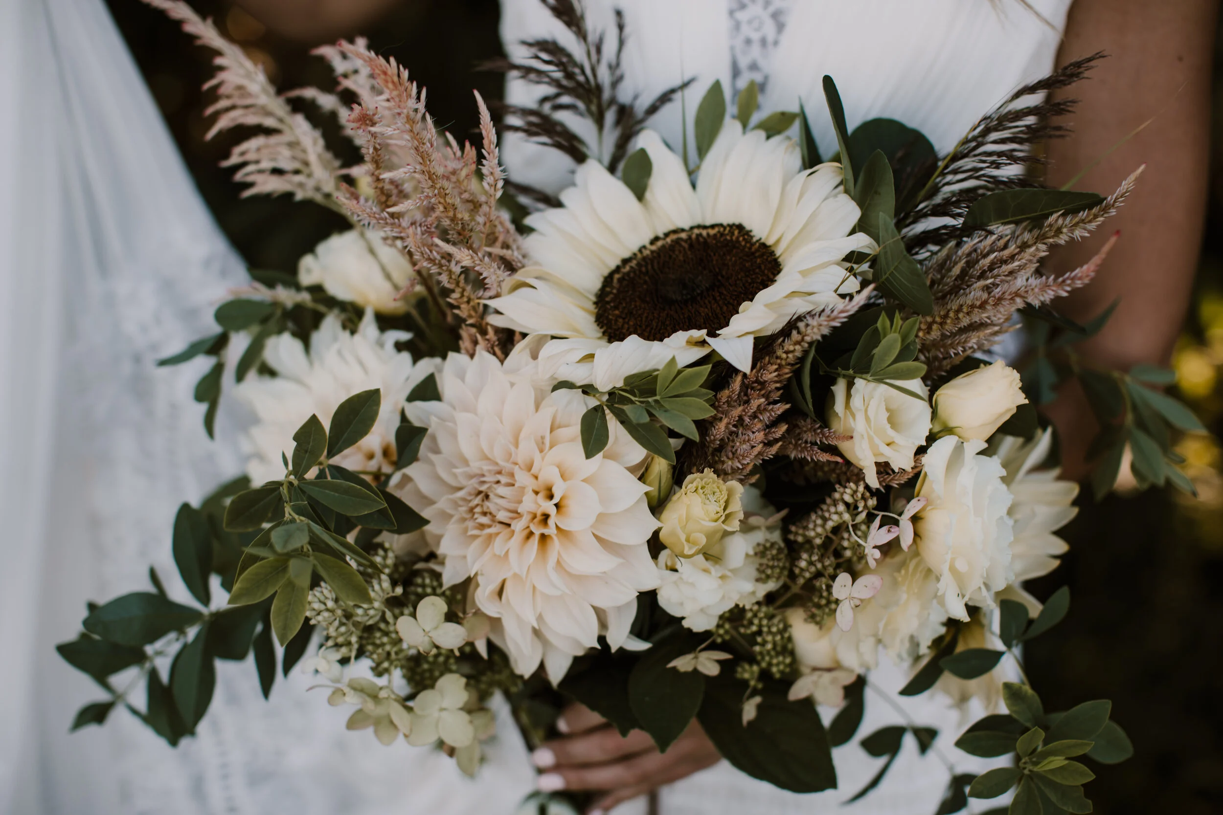 Whitney Nichols Photography