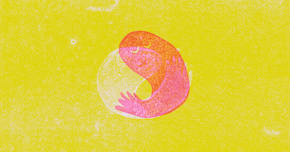 Connexion_V05.gif