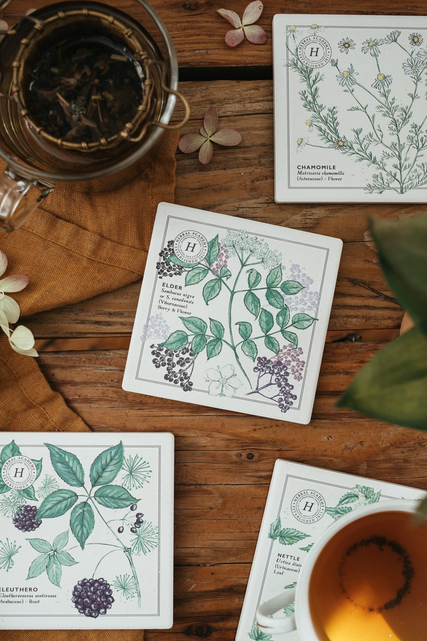 Who wants these Ceramic Botanical Coasters by @herbalacademy in their stocking this year? 🙋&zwj;♀️⁣
⁣
You can bet your bottom we&rsquo;re stocking up on these beauties for our herb-loving friends. 🌿⁣
⁣
📷 by our Founder @hannah_aften, a member of H