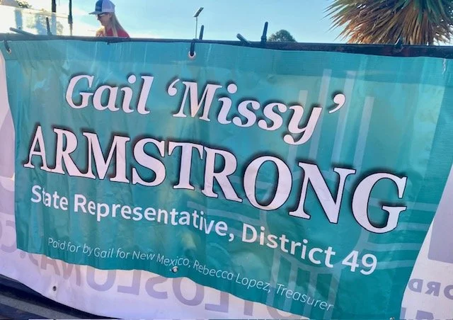Gail Armstrong - State Rep District 49