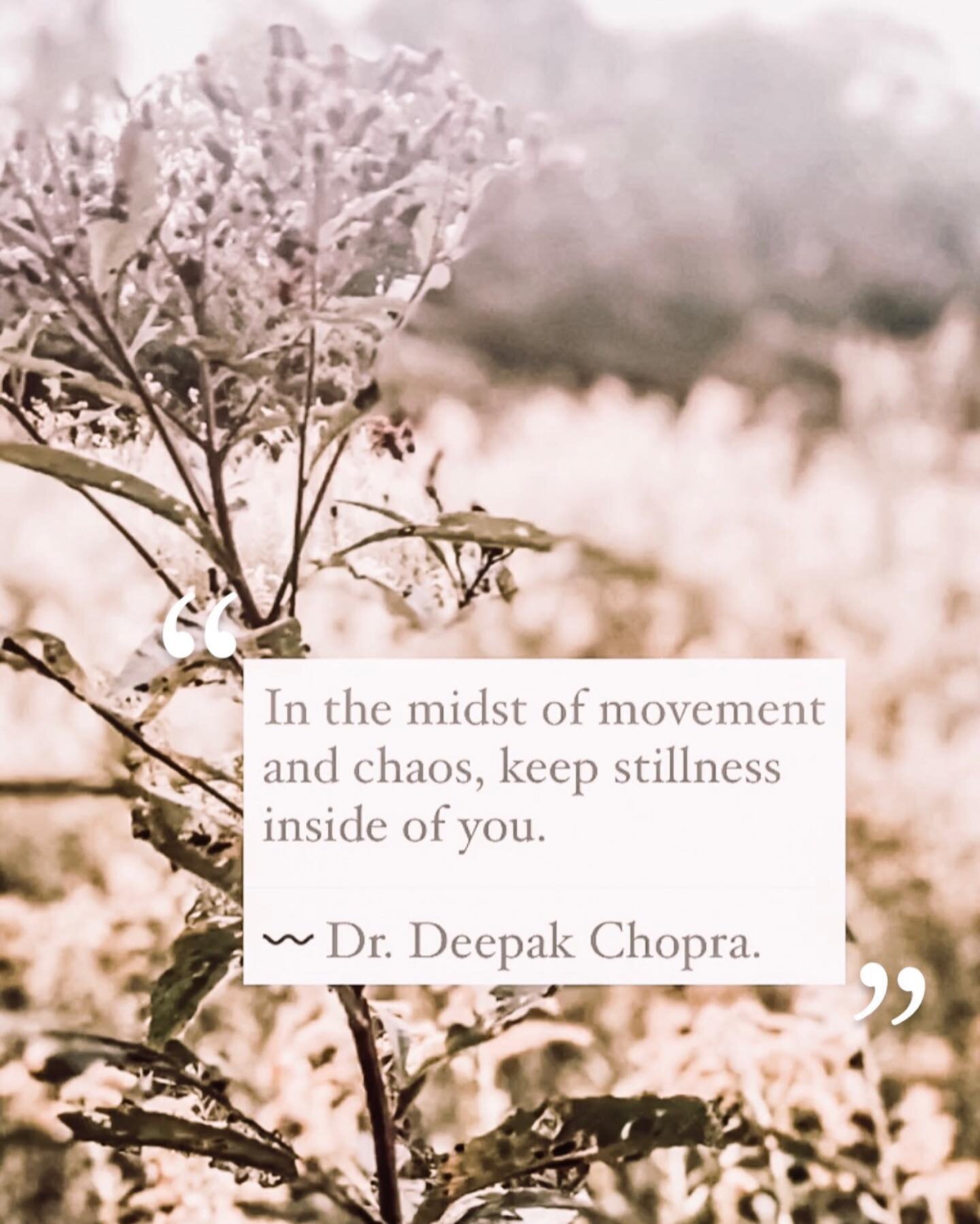 We have all been feeling the rapid movement of times&rsquo; transitions. We may experience this quickening as chaotic or as a loss of control. Remember to retreat, re-center, &amp; ground in the wisdom of your bodies temple. 🙏🏼⁣
⁣
&raquo;&raquo;&md